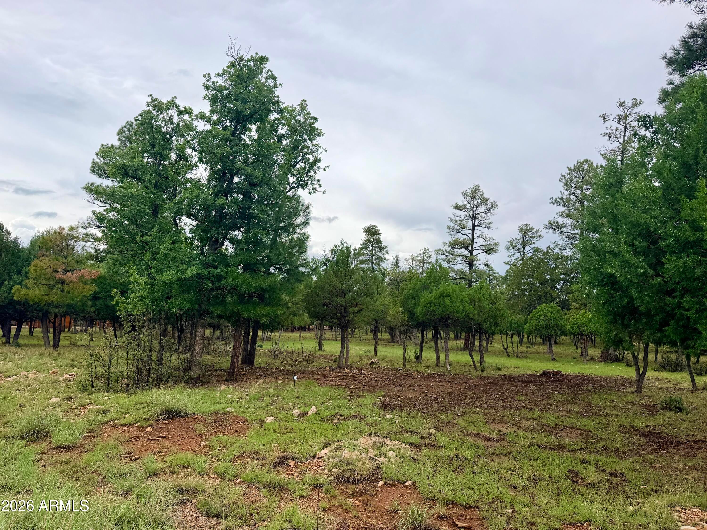 4517 DURANGO Drive 374