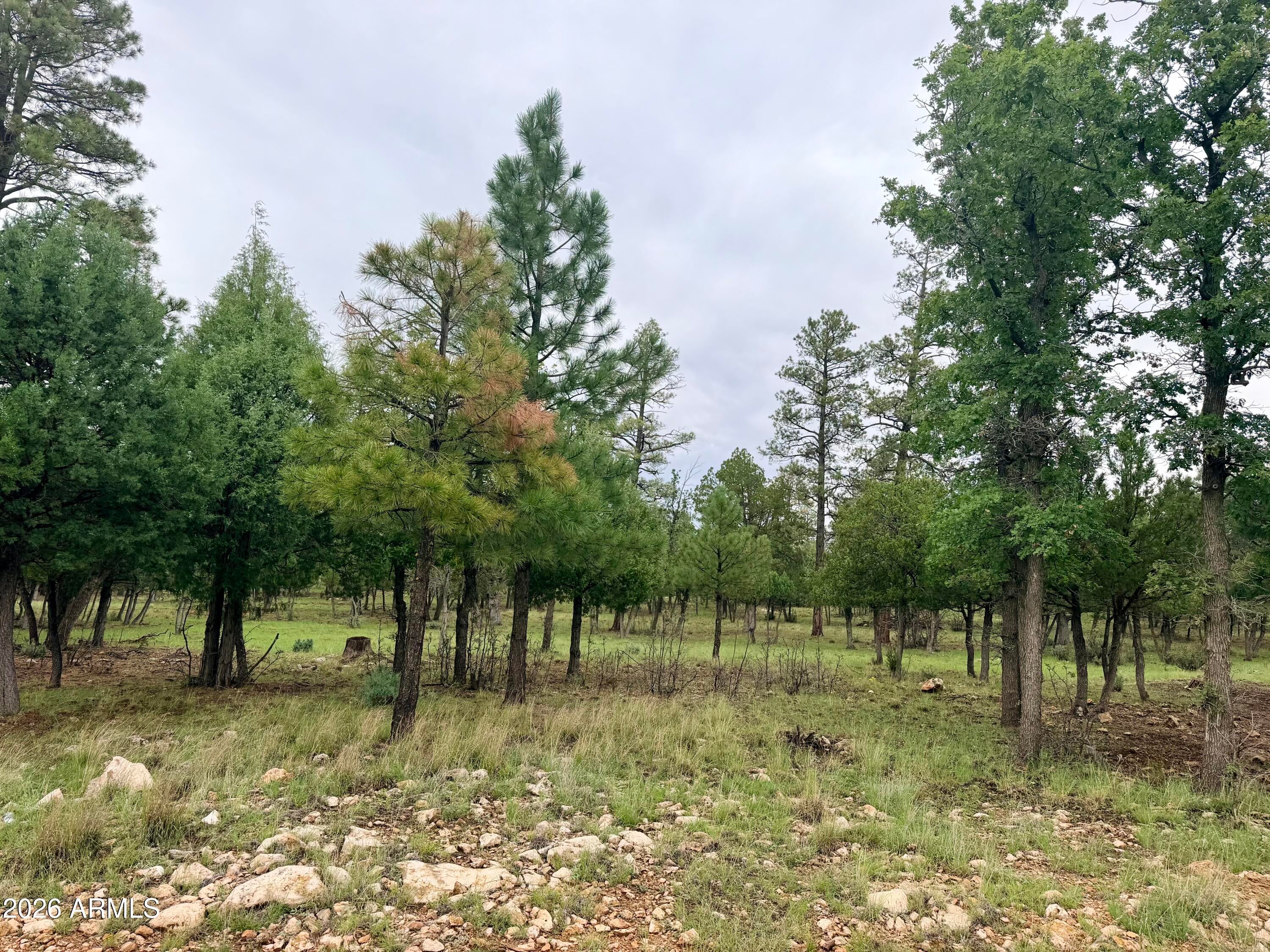 4517 DURANGO Drive 374
