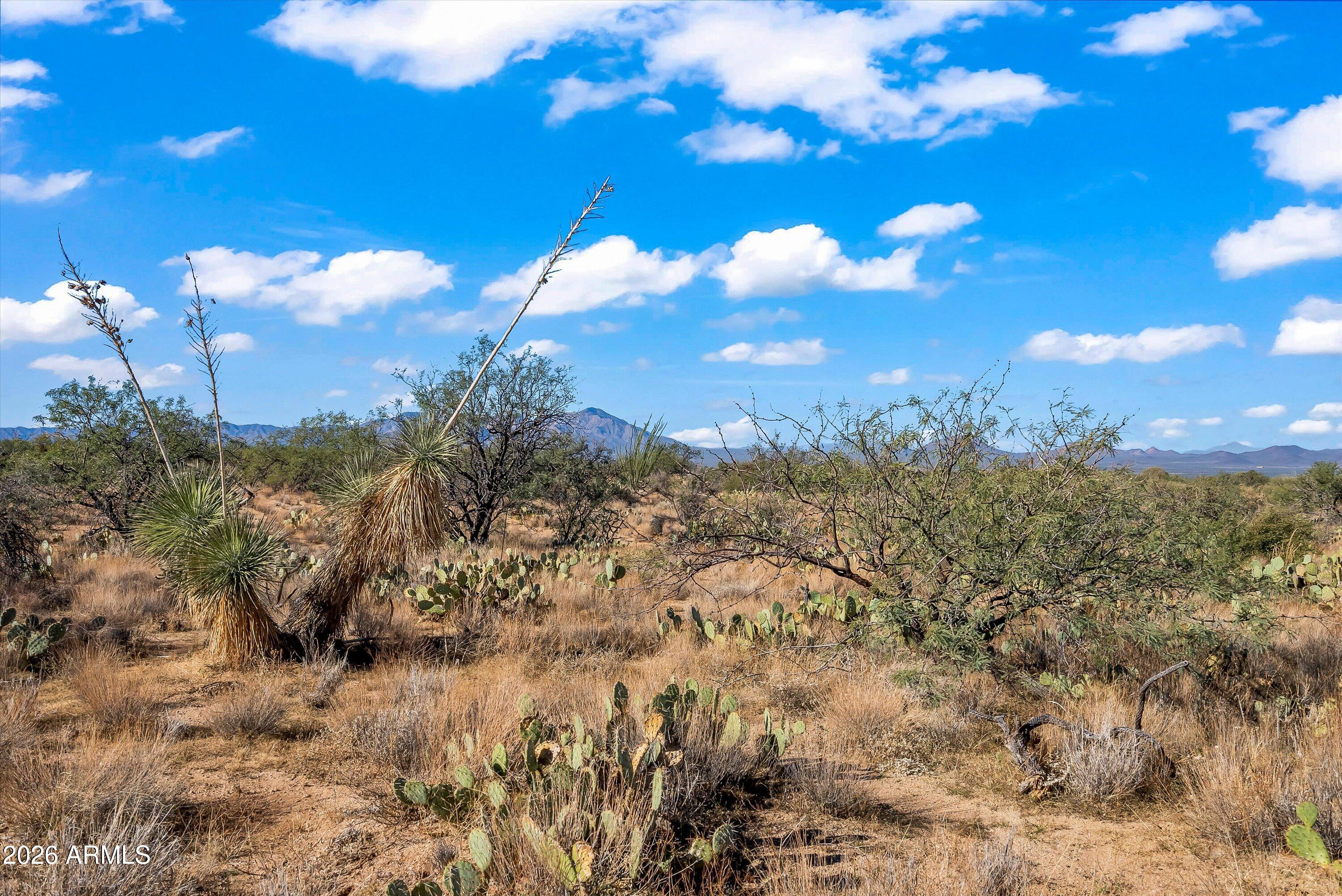 14080 S DUANE Avenue S 00208