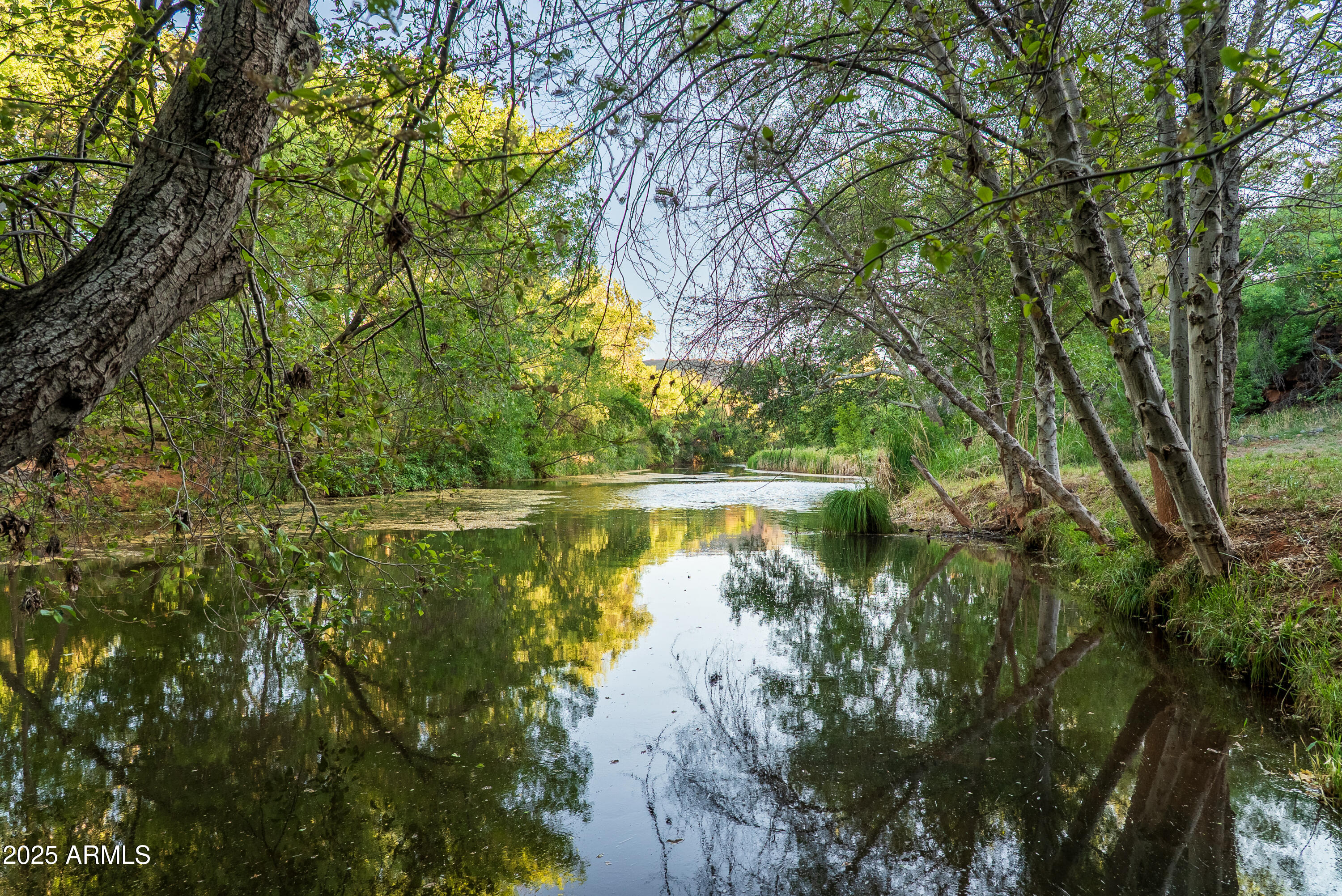 EAST CUP OF GOLD ESTATES - Residential