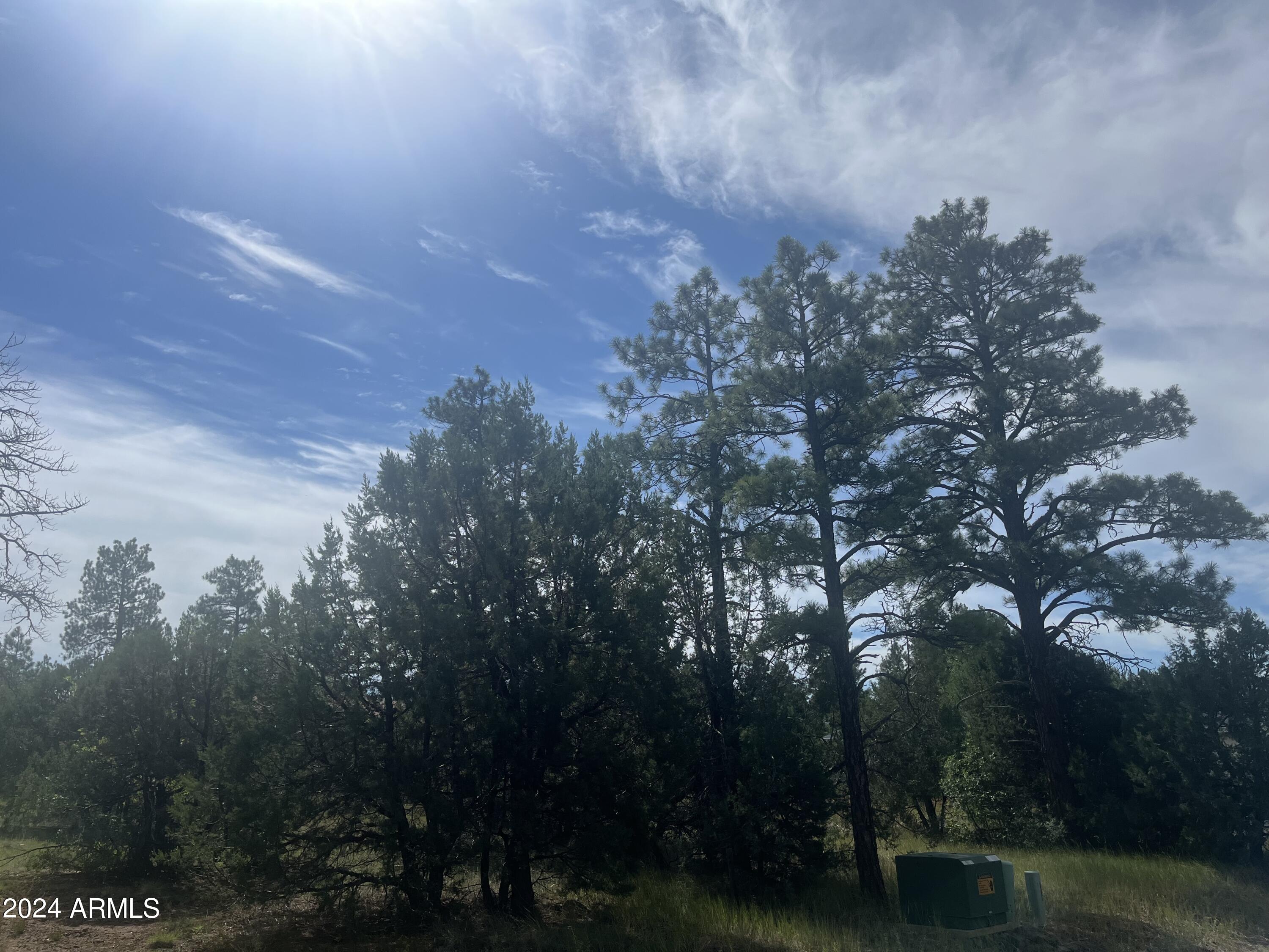 5455 RED SQUIRREL Lane 54