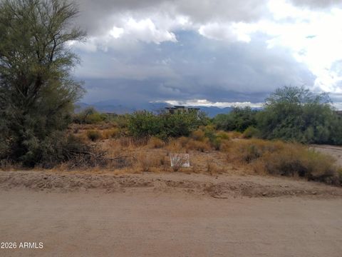 294XX N 164th Place - Rio Verde AZ 85263