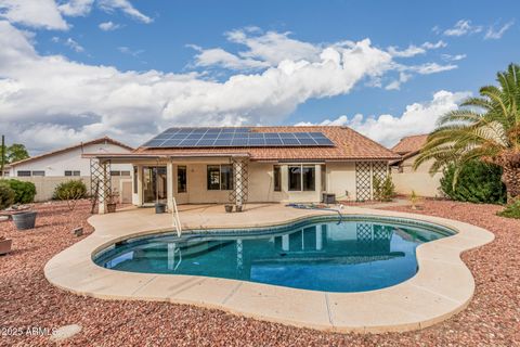 11076 W RUNION Drive Sun City AZ 85373