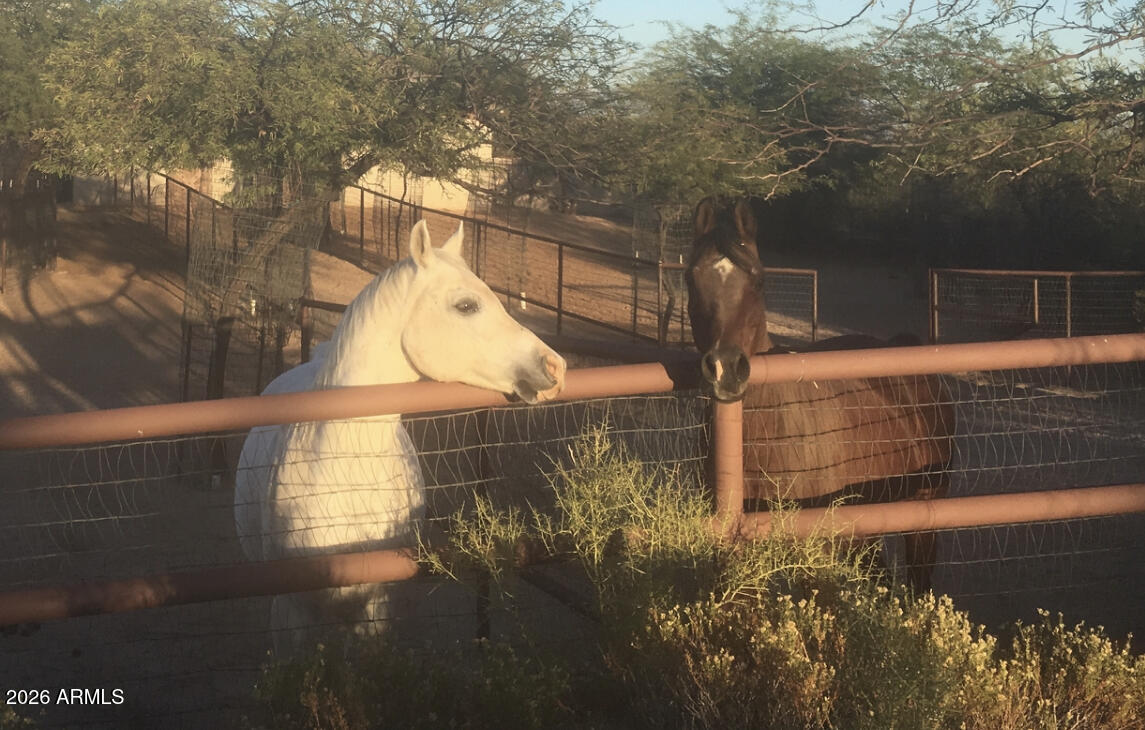 14227 E WINDSTONE Trail