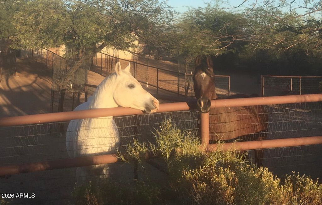 Photo of 14227 E Windstone Trail, Scottsdale, AZ 85262 (MLS # 7016866)