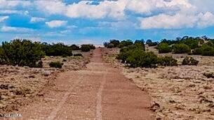 TBD Sanders 127.5 Acres Lot B -- -