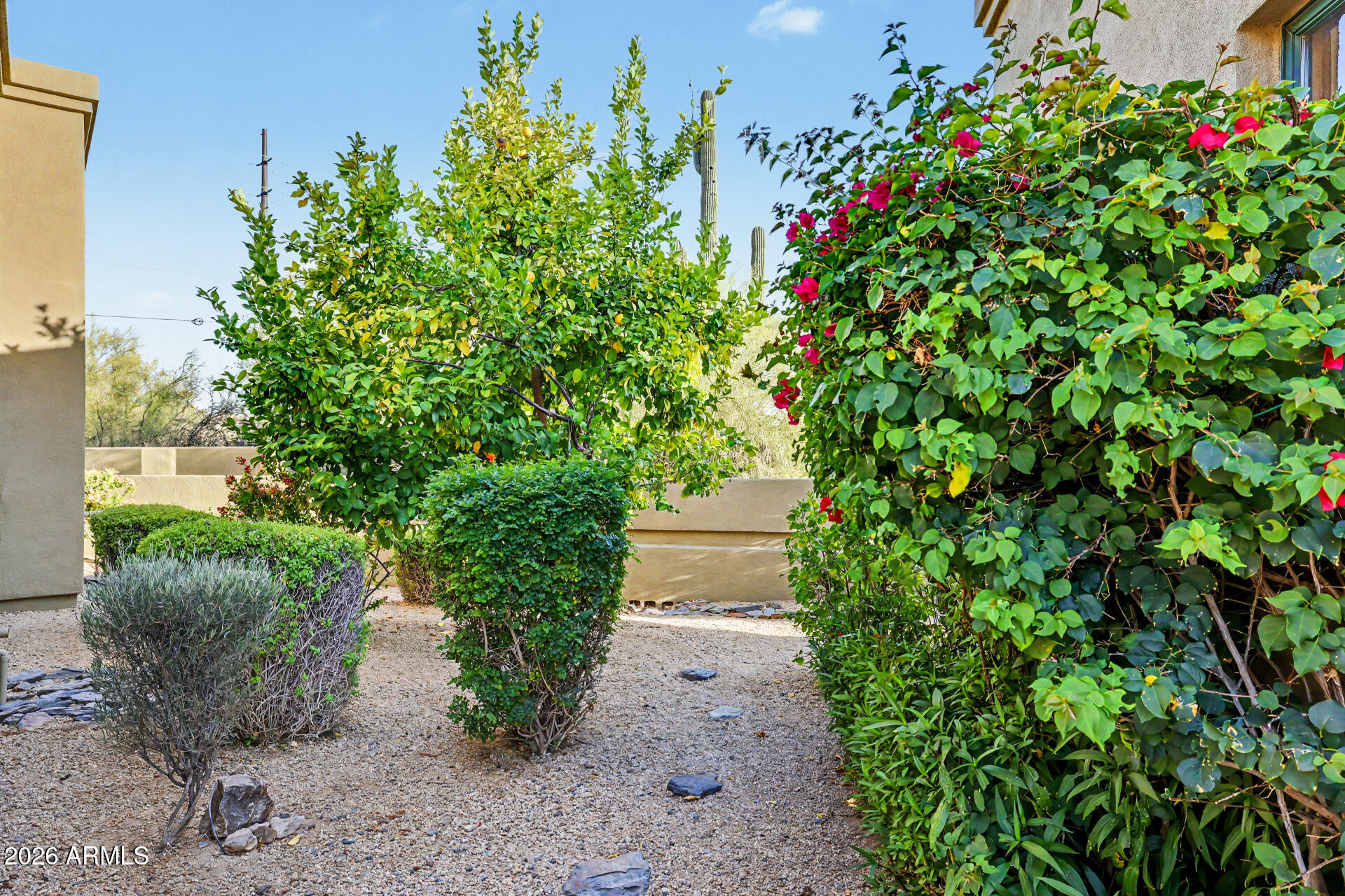 CANYON RIDGE ESTATES - Residential