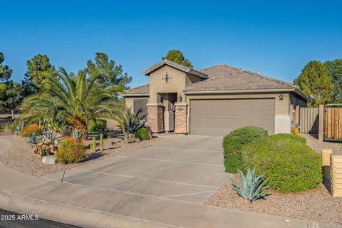 19589 N PORTAROSA Court Maricopa AZ 85138