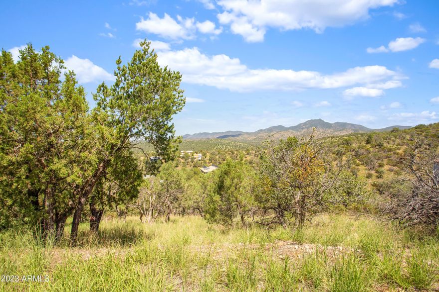 Looking for a serene and quiet location off of the beaten path to build your dream vacation home or even live full time? This lot is the one for you, it is a ''double'' lot around a quarter of an acre.  With the right plans you could have lake views from here! Come fall in love with the beautiful scenery!