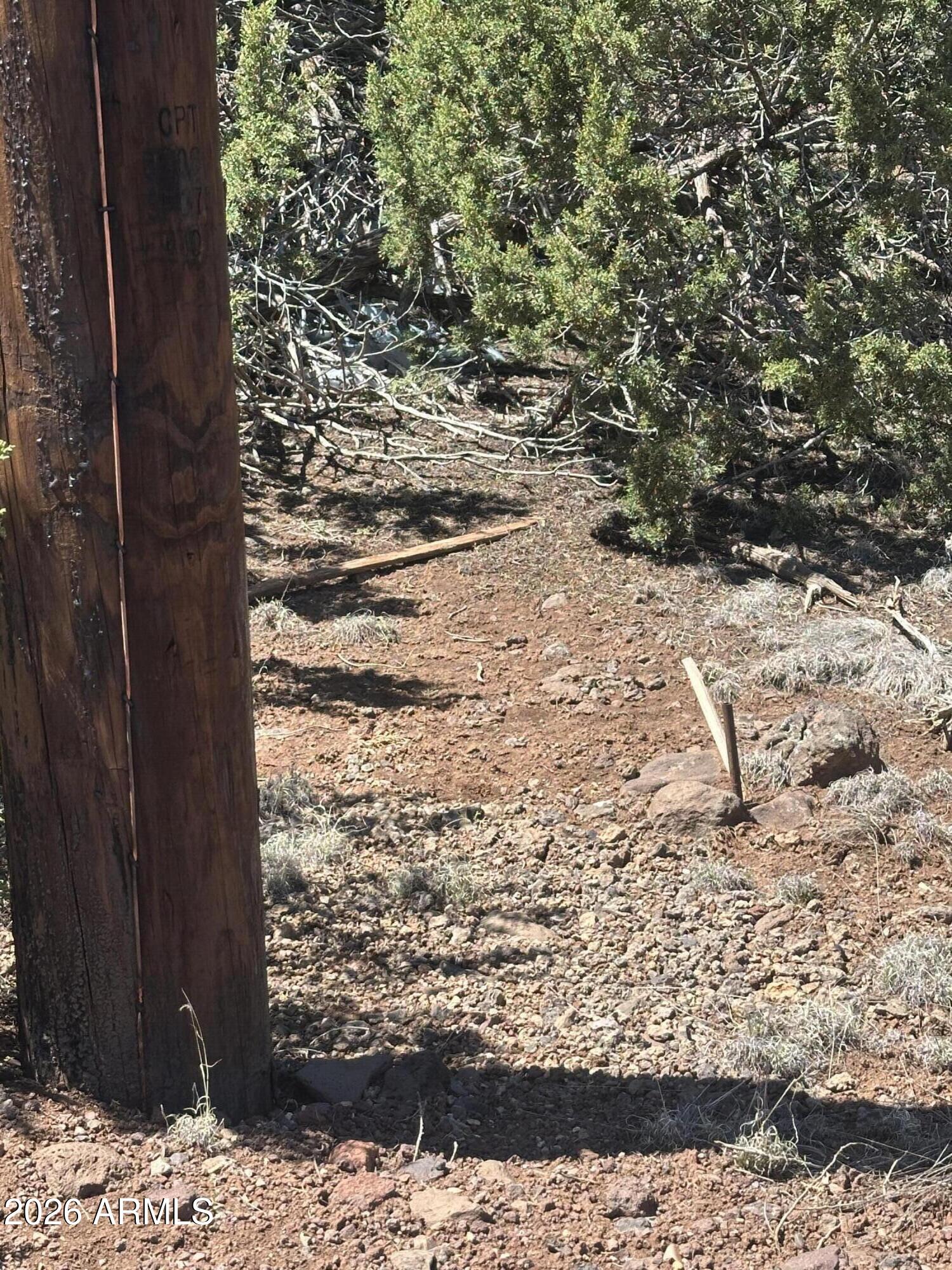 21 ACR 3193 Road 350