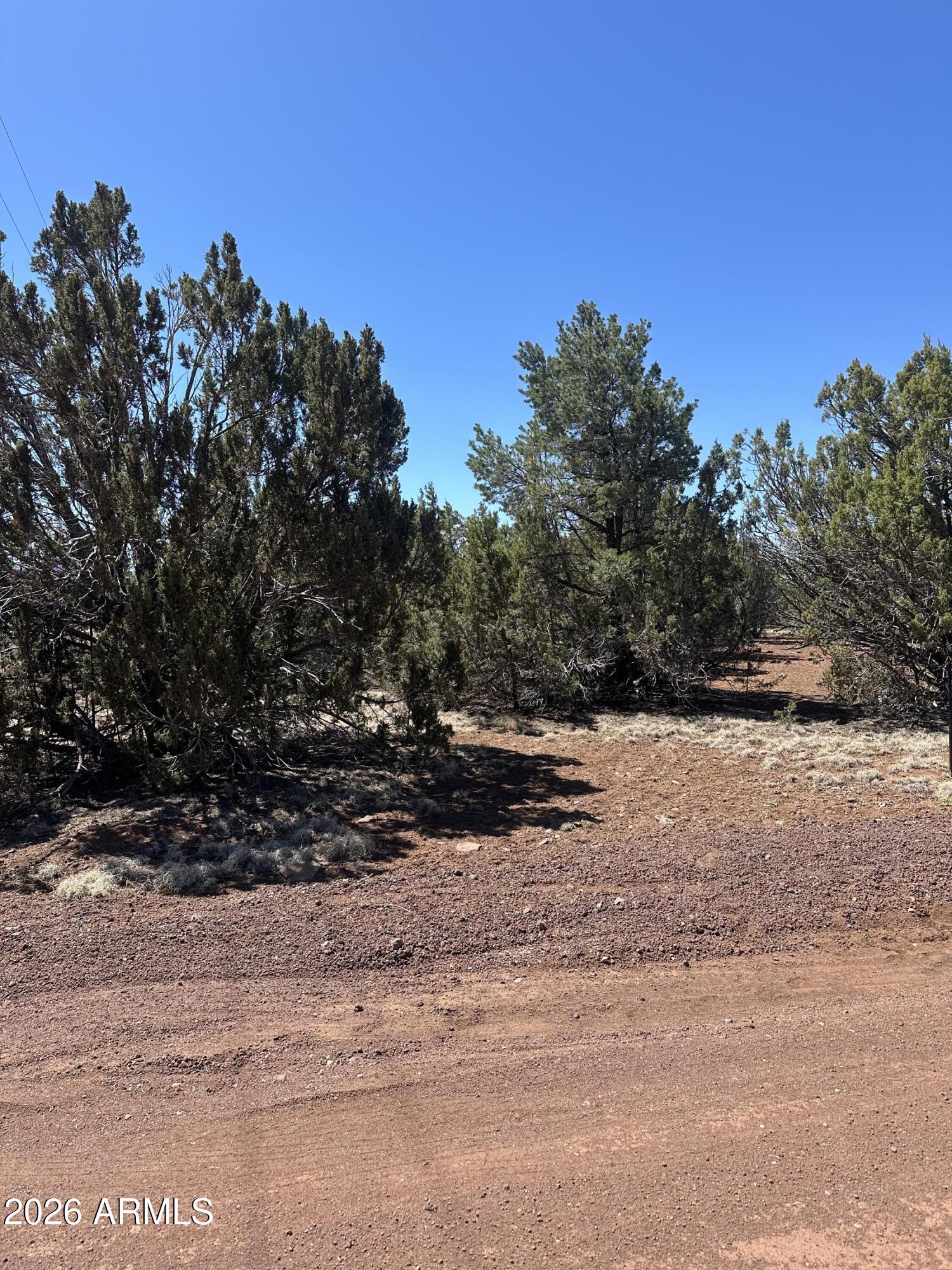 21 ACR 3193 Road 350