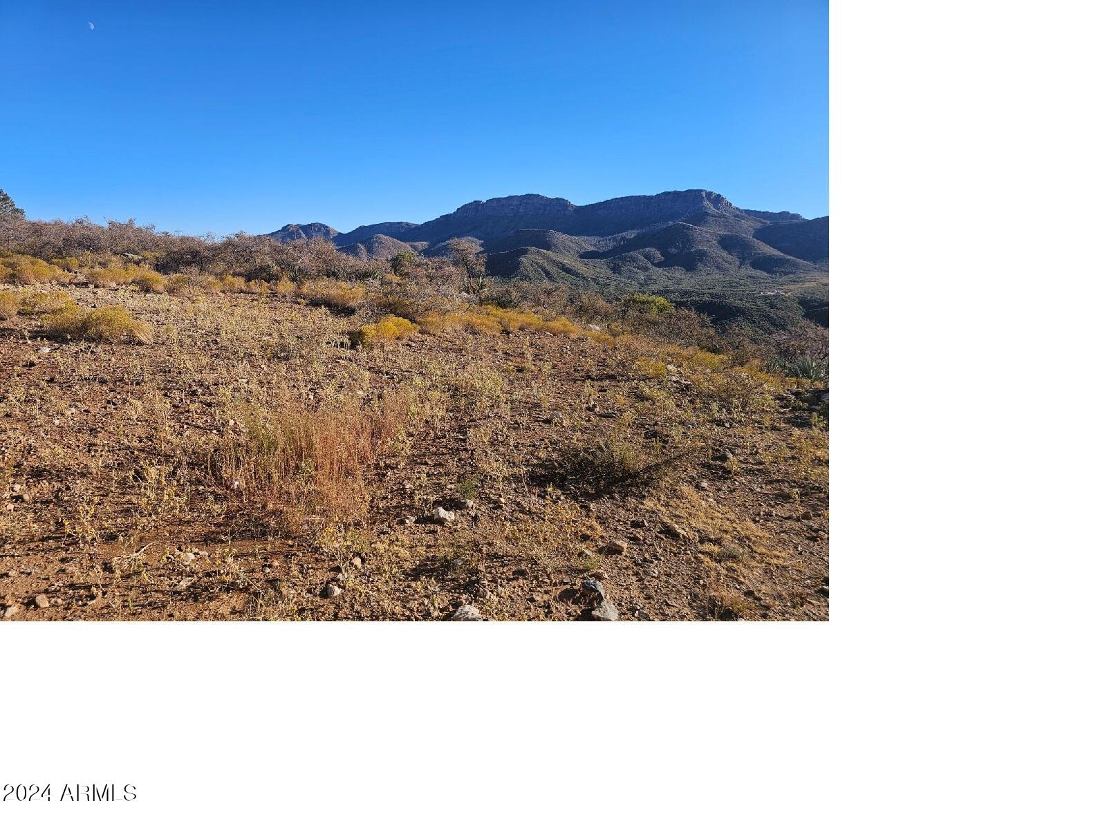 XXX N Mountain Lion Pass -- -