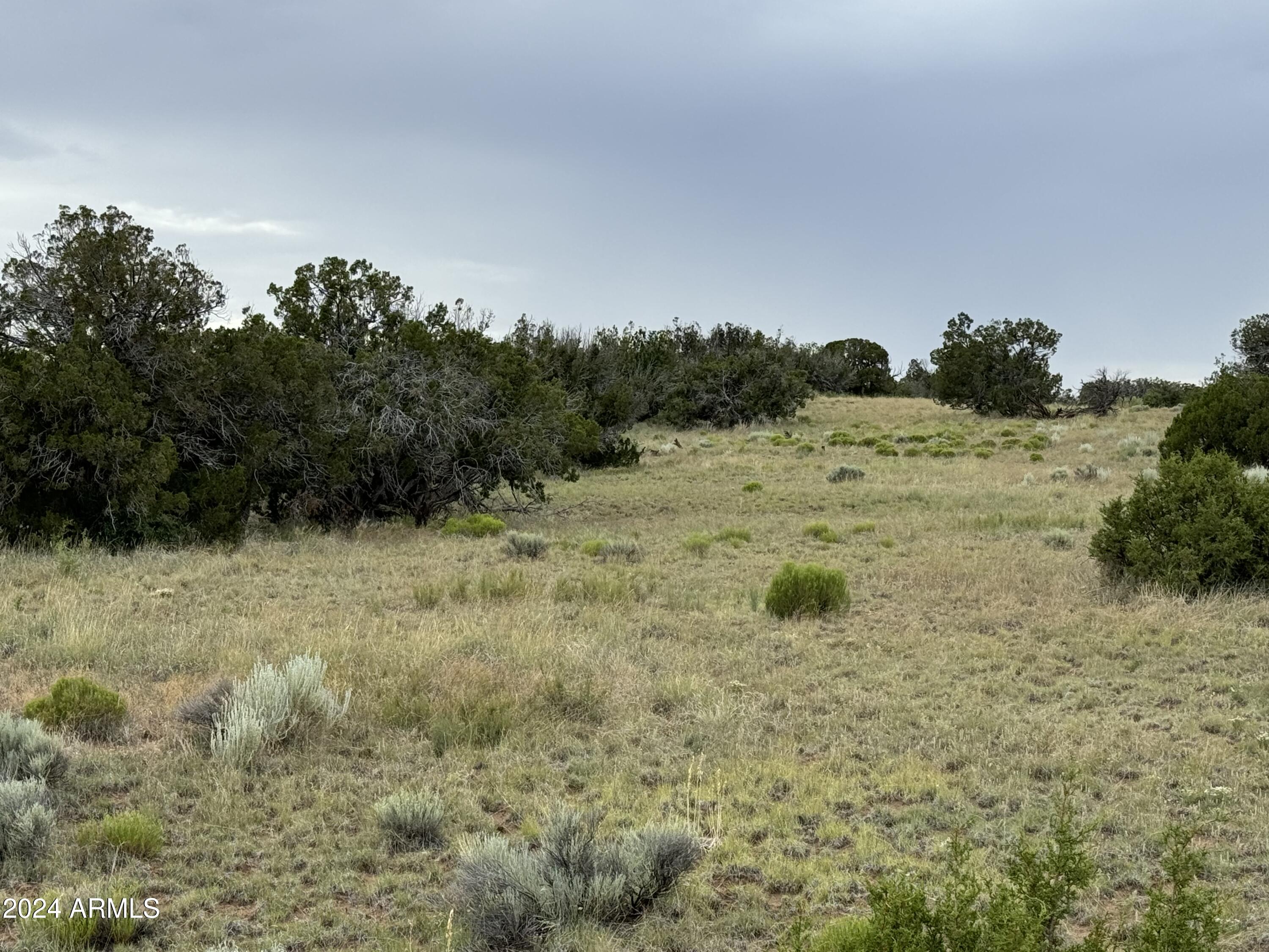 217 Sierra Highlands Ranch -- 217