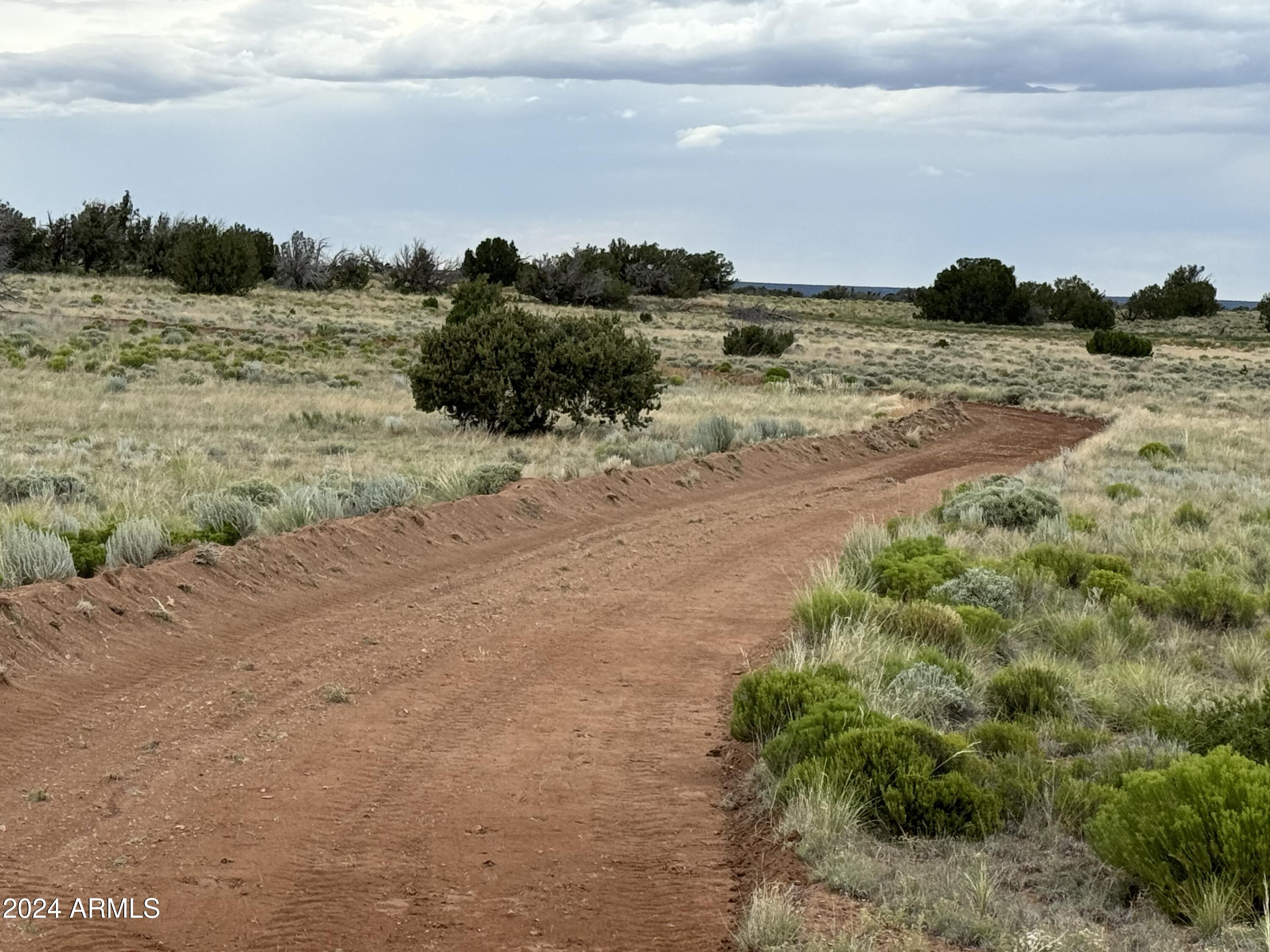 217 Sierra Highlands Ranch -- 217