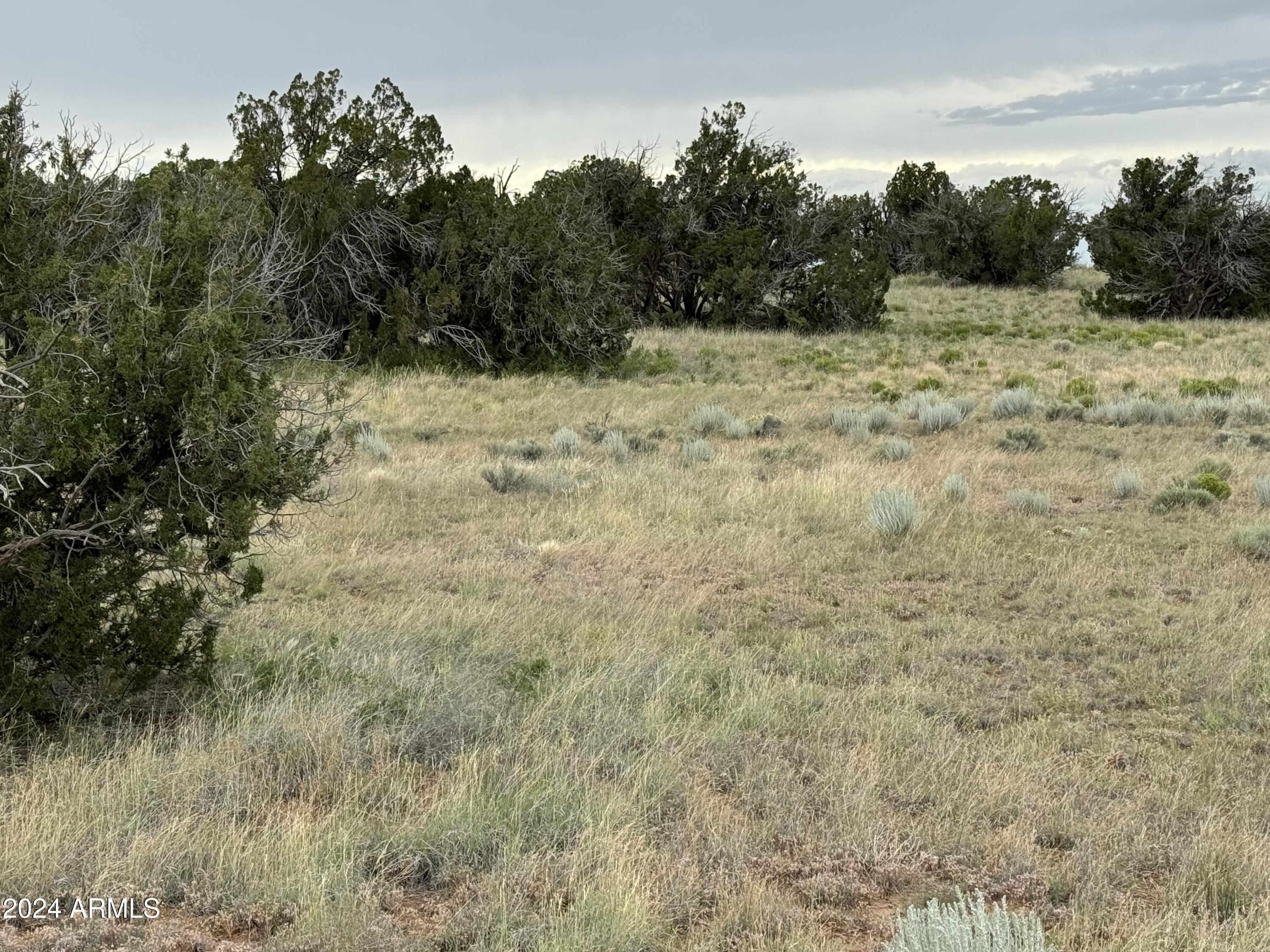 217 Sierra Highlands Ranch -- 217