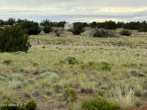 217 Sierra Highlands Ranch -- 217 St Johns AZ 85936