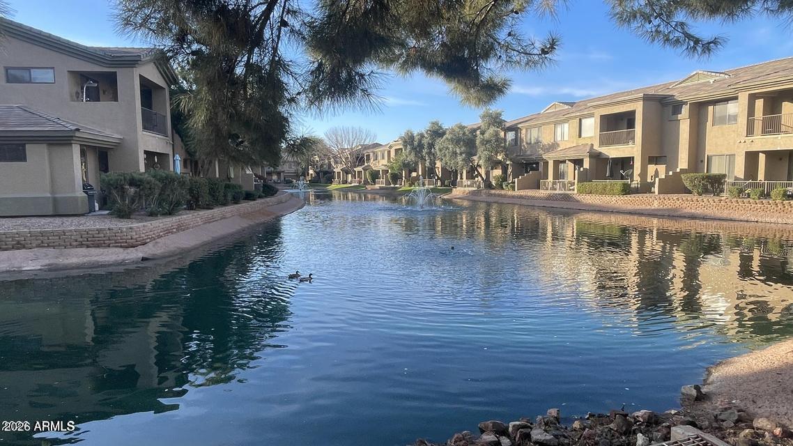705 W QUEEN CREEK Road 1232