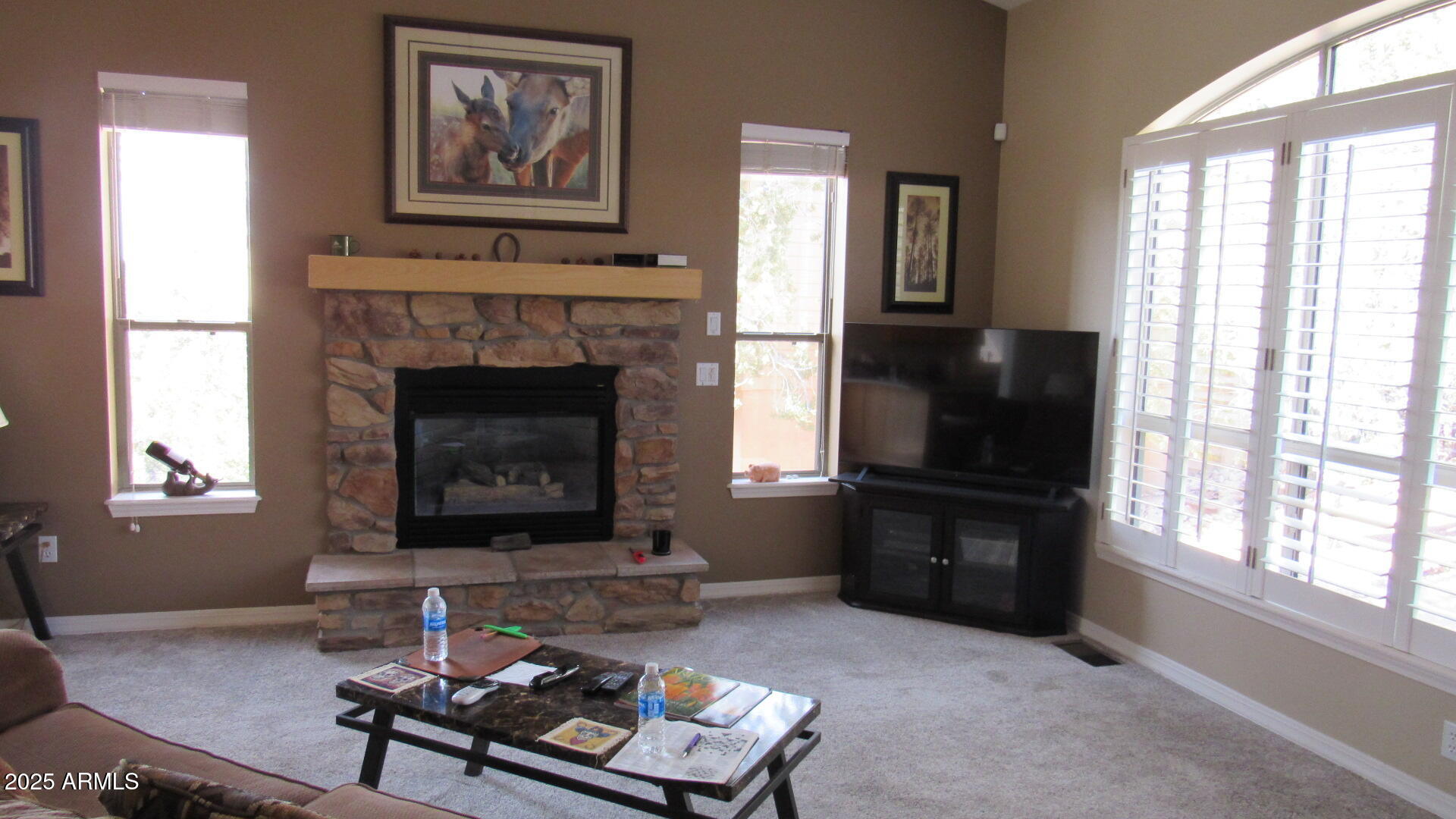 1110 S SEQUOIA Circle