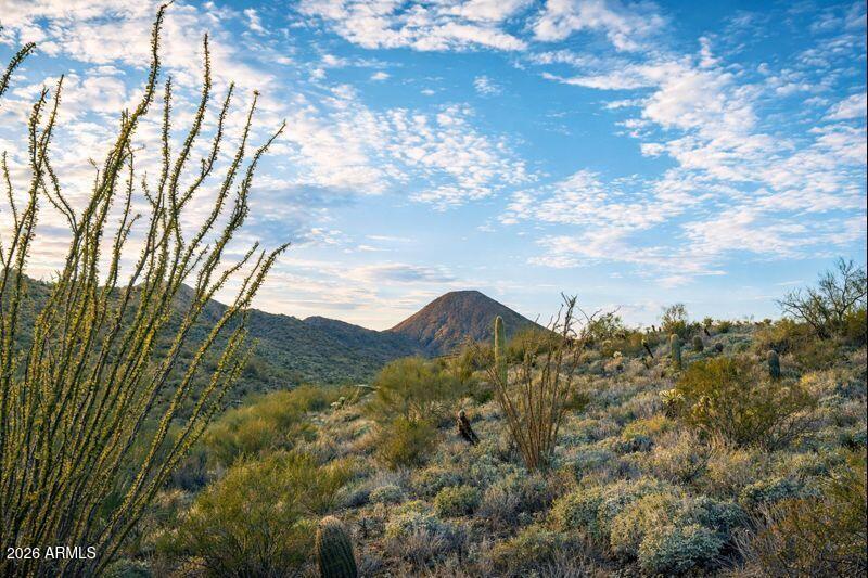 15529 N JAVELINA Trail 216