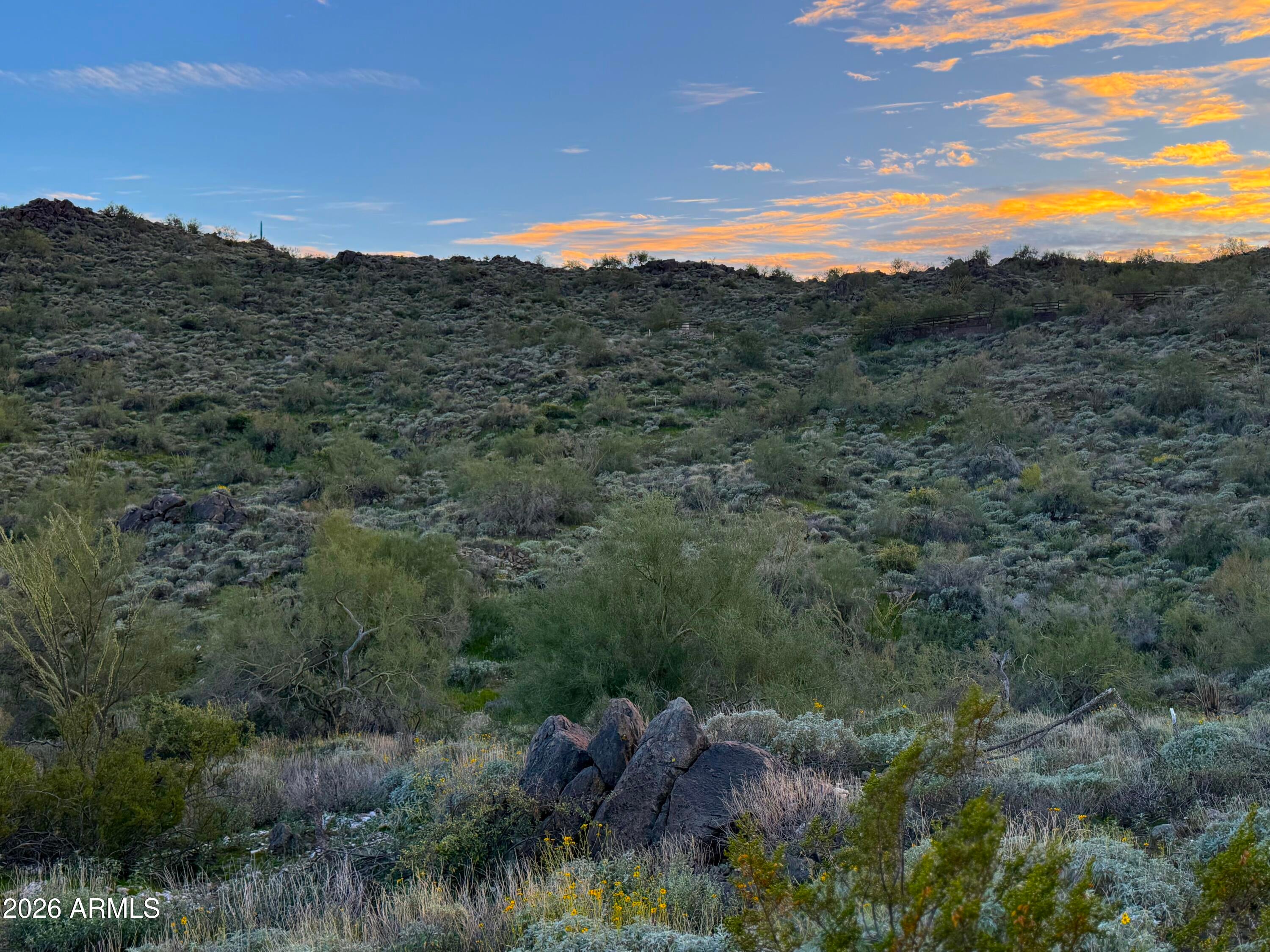 15529 N JAVELINA Trail 216