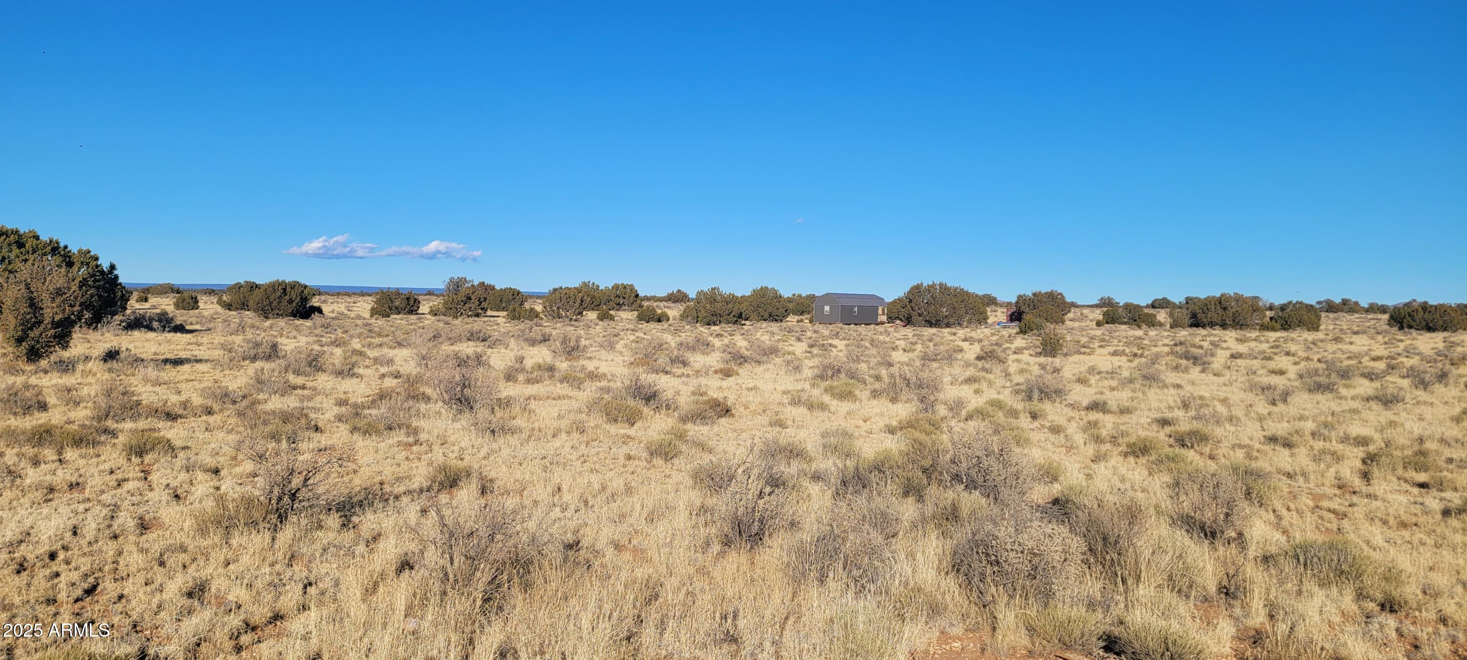 3109 E JUDY Drive 215