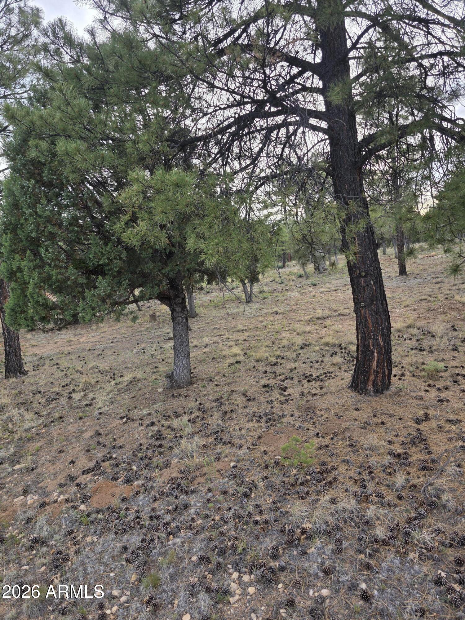 2584 ARAPAHO Drive 600