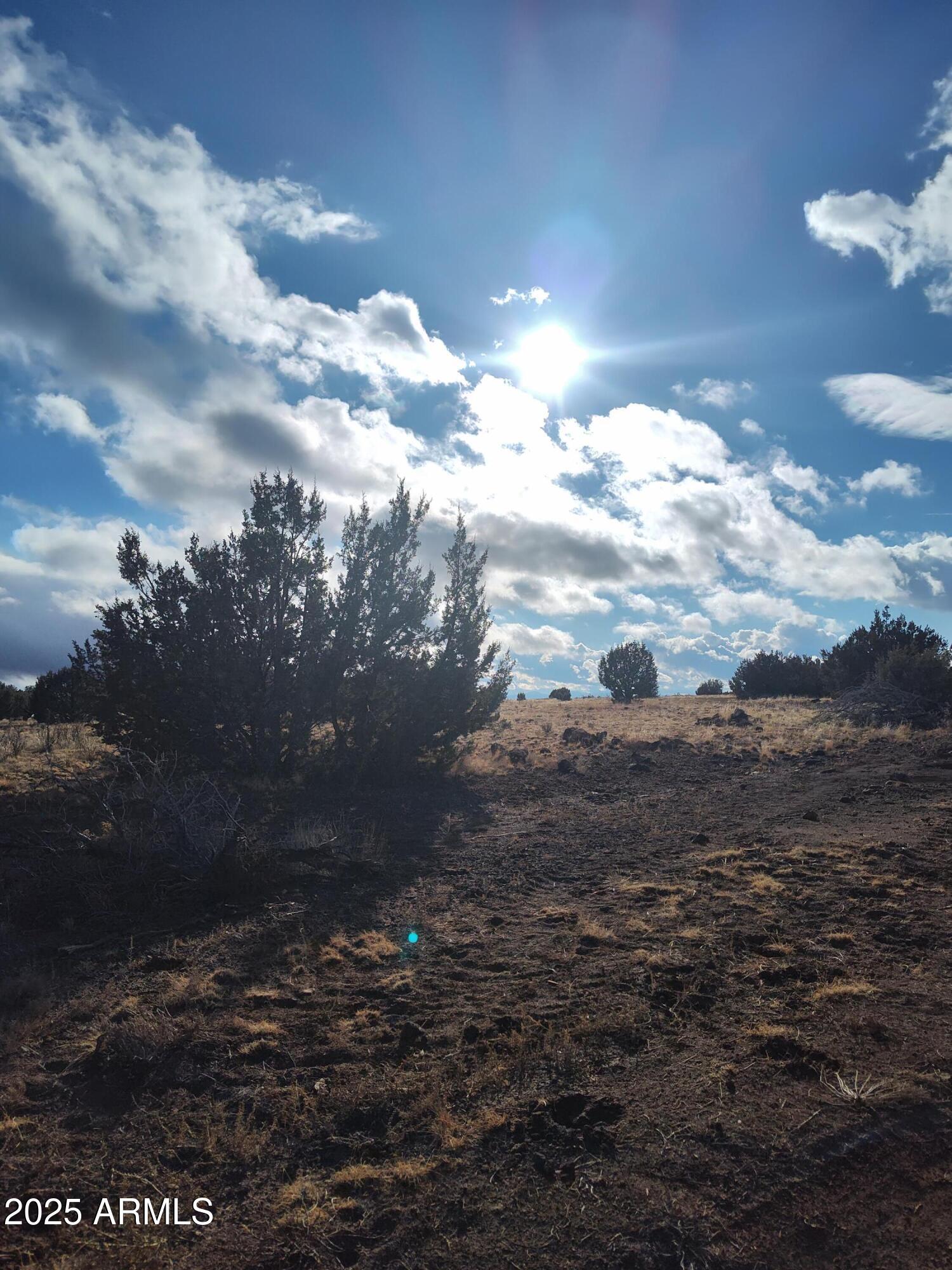 00000 N Deliverace -- 453