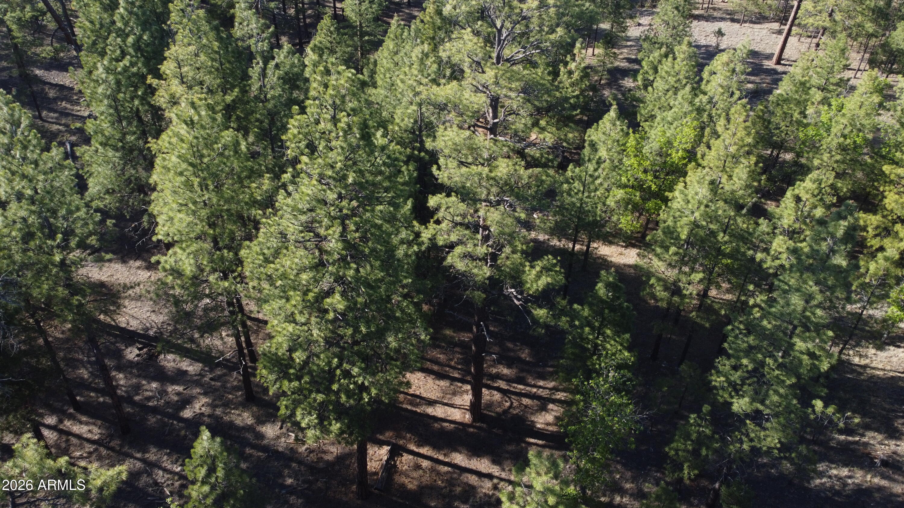 STARLIGHT PINES 4 PHASE 3 - Land