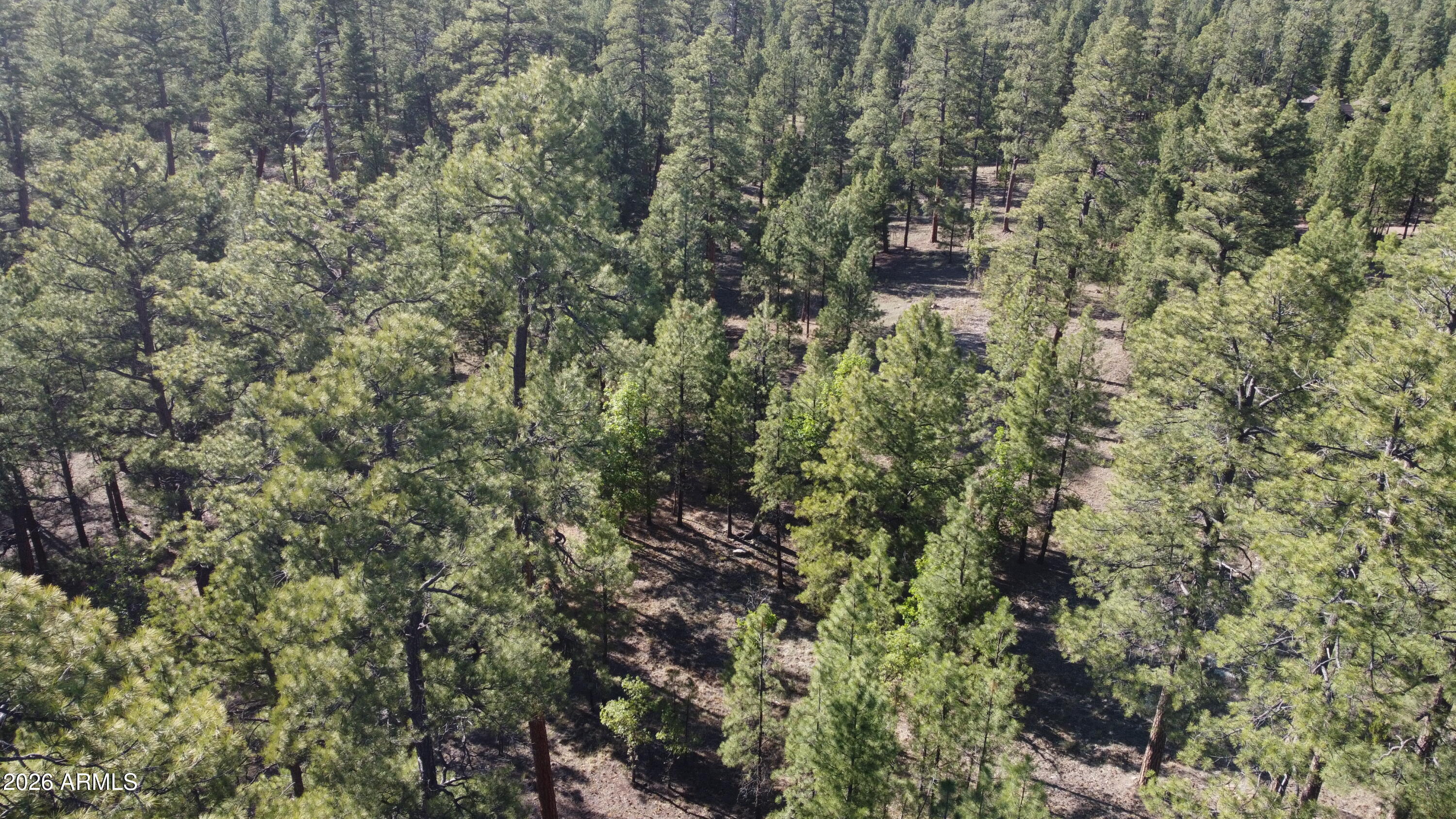 STARLIGHT PINES 4 PHASE 3 - Land