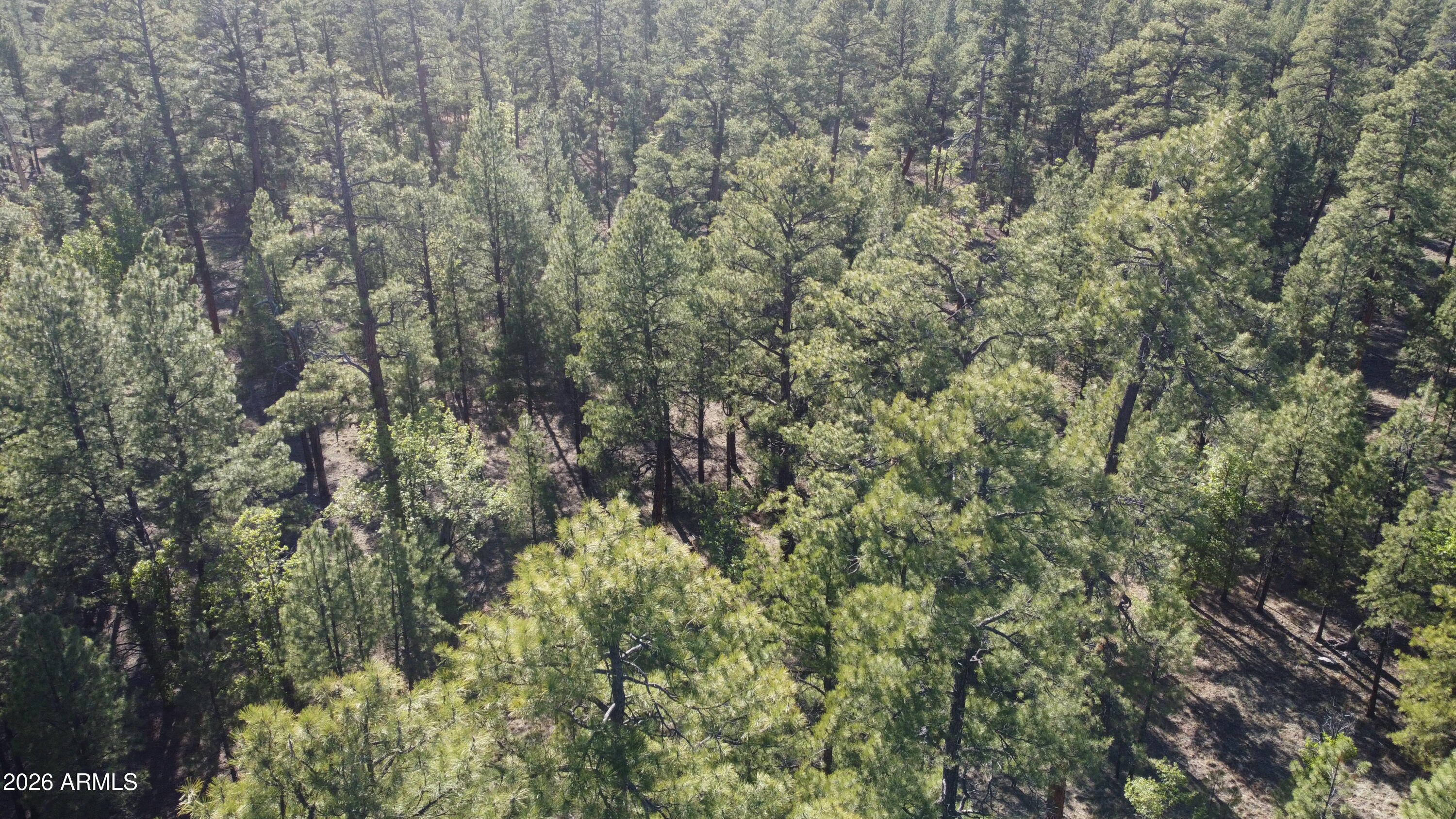 STARLIGHT PINES 4 PHASE 3 - Land