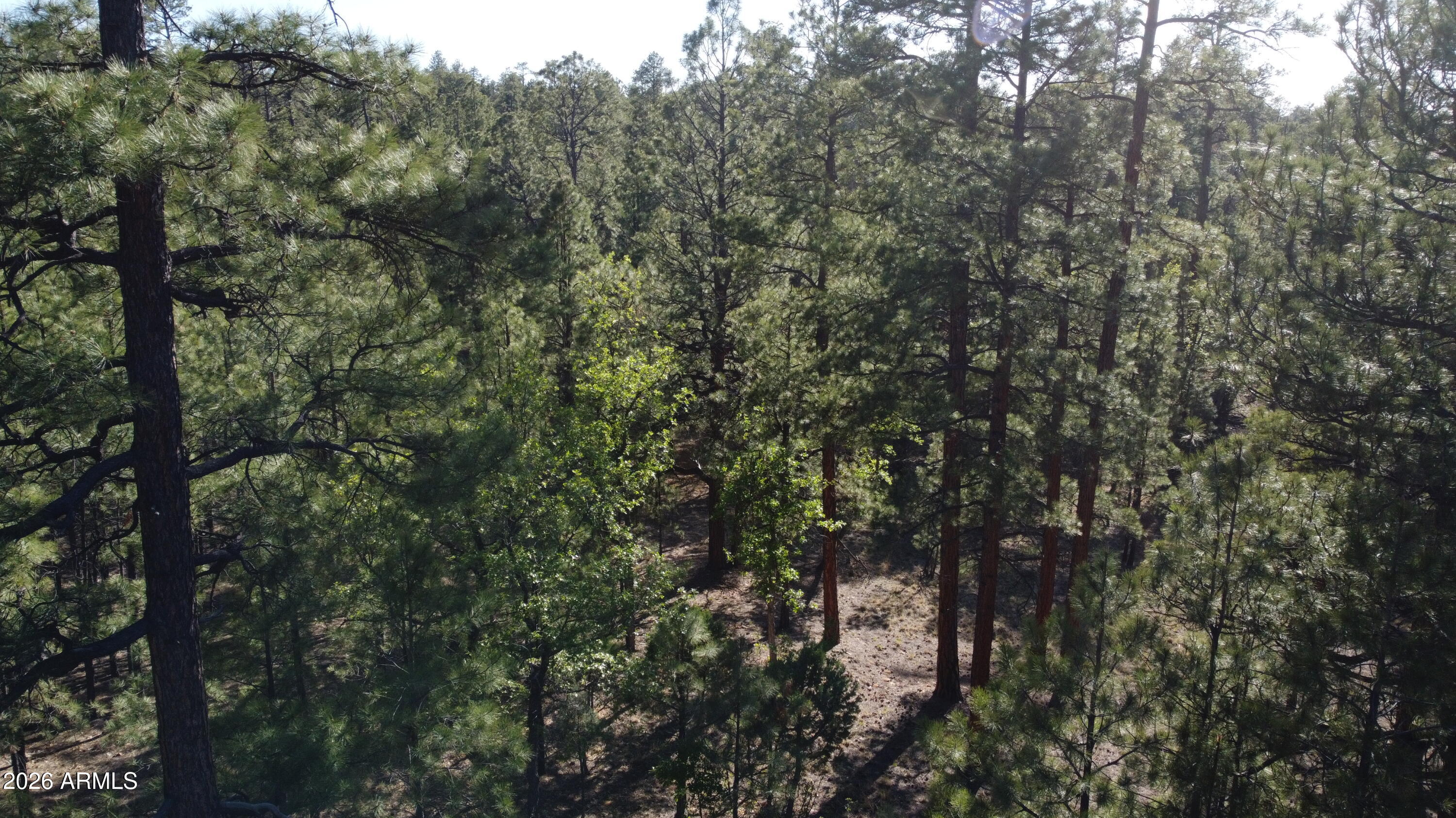 3212 APACHE Drive 589