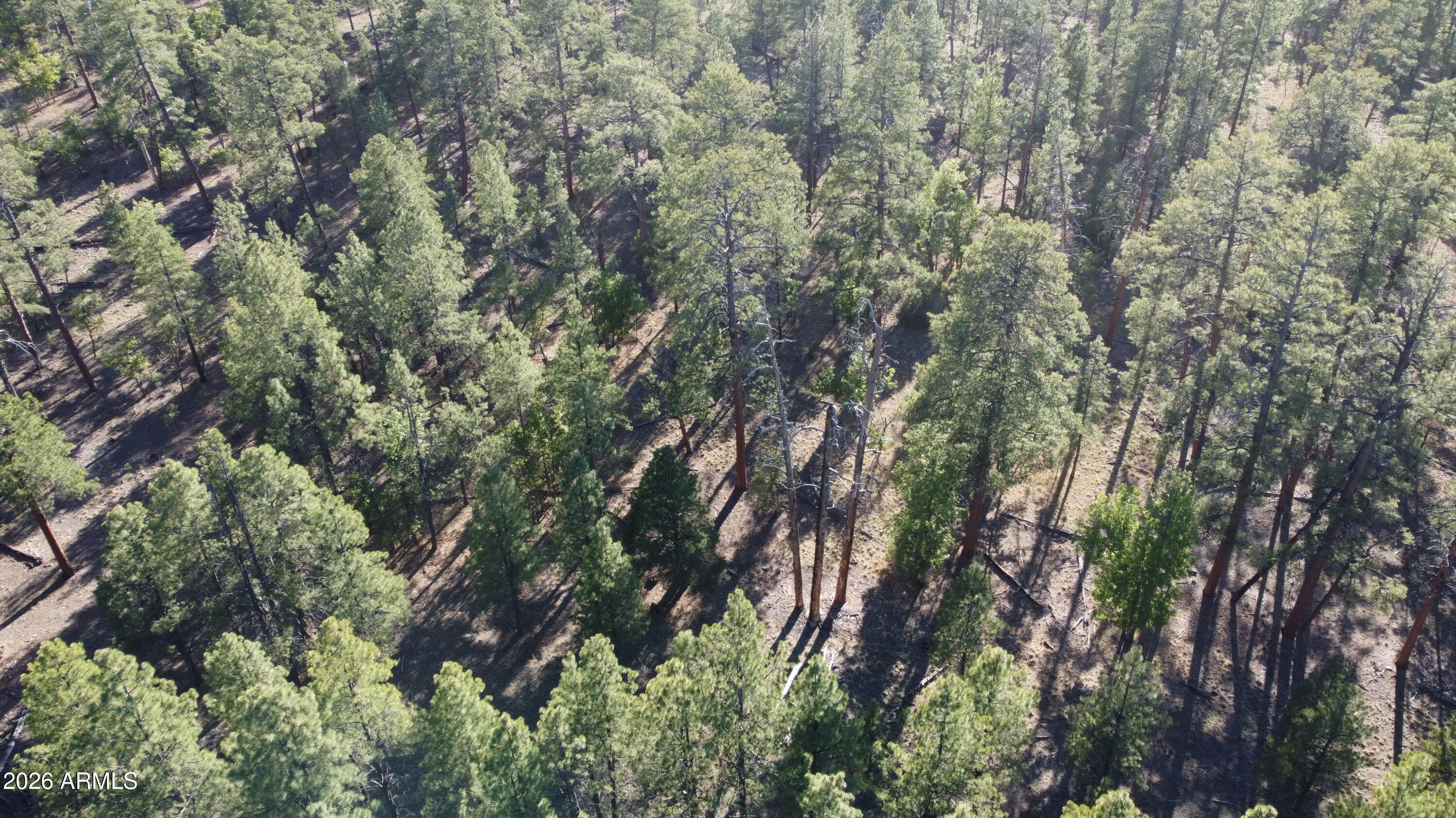 STARLIGHT PINES 4 PHASE 3 - Land