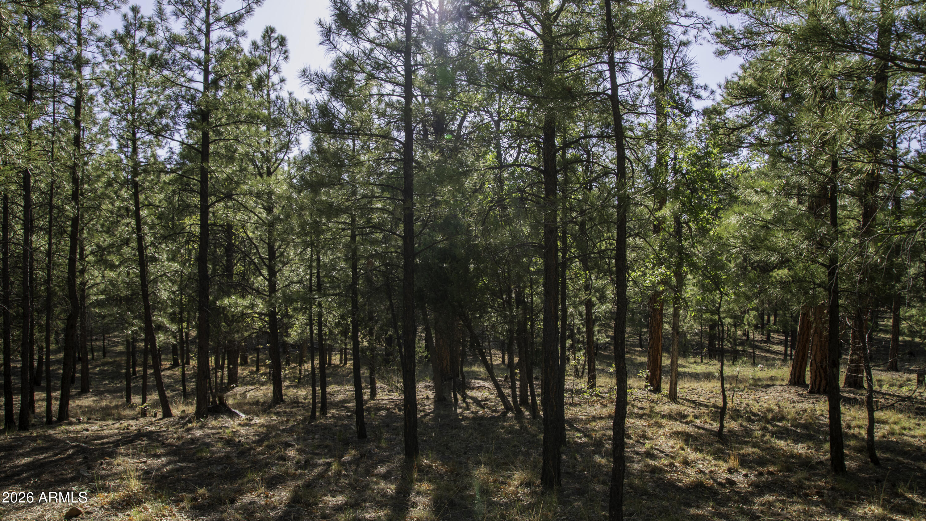 3212 APACHE Drive 589