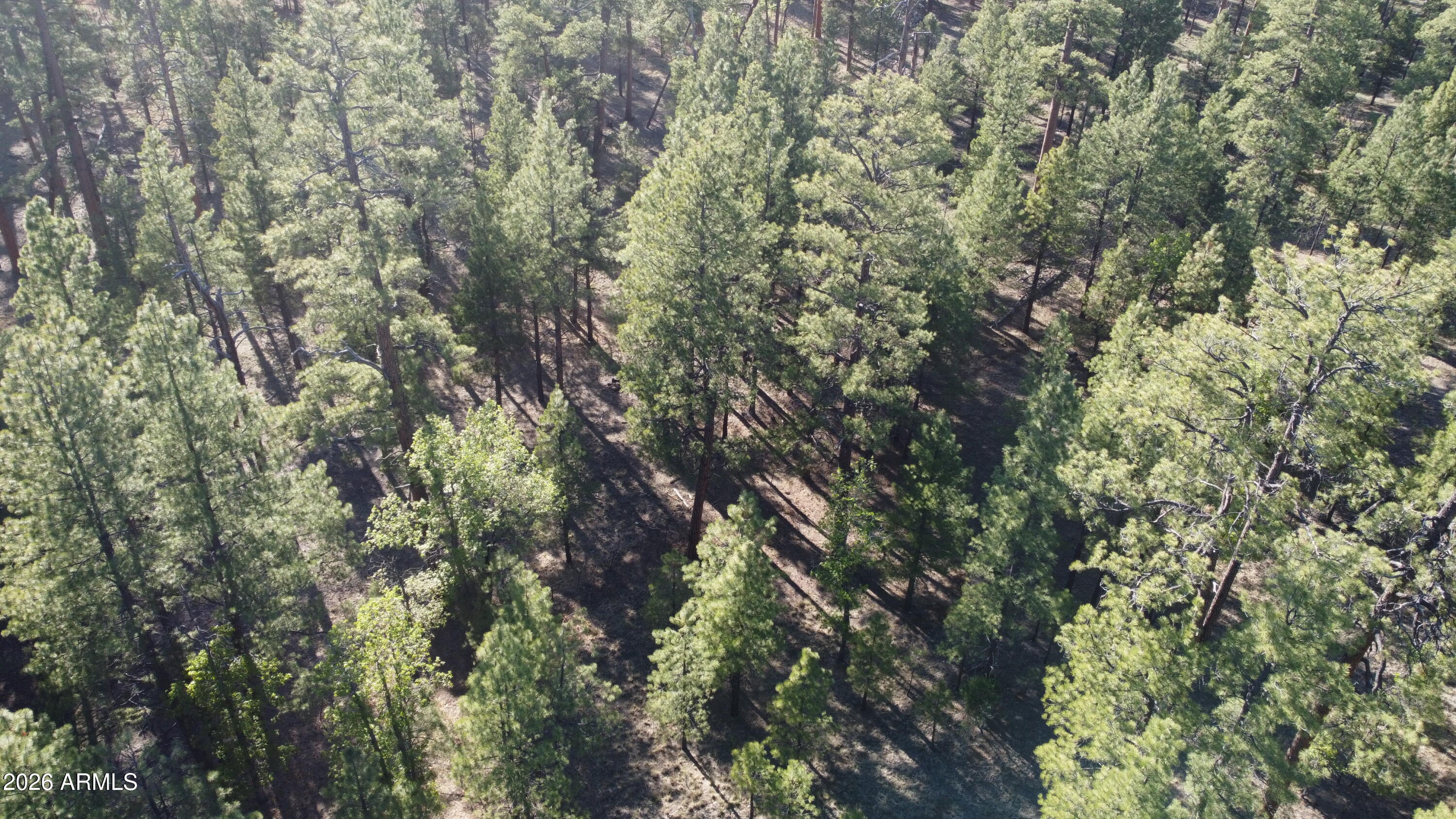 STARLIGHT PINES 4 PHASE 3 - Land