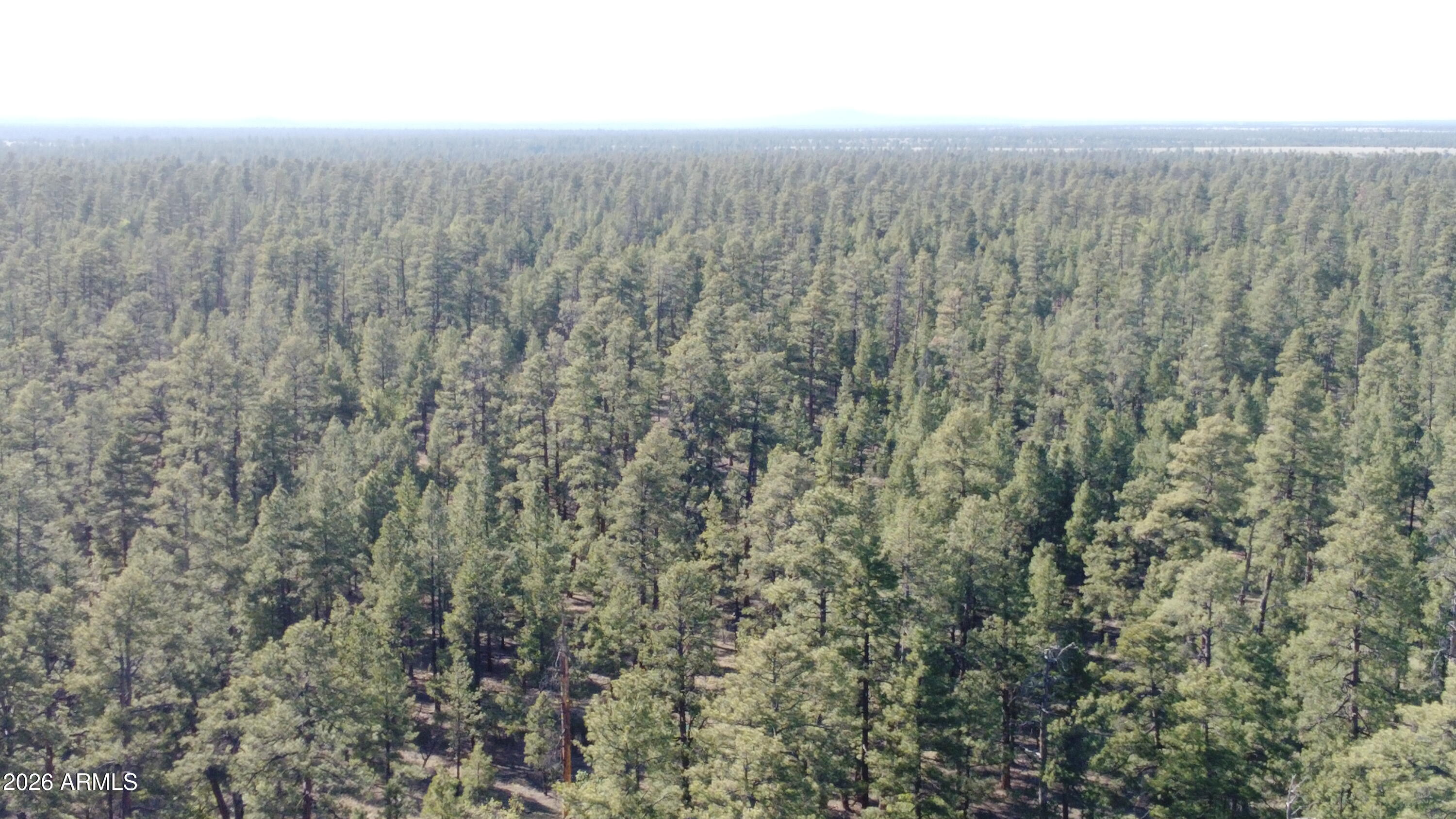 STARLIGHT PINES 4 PHASE 3 - Land