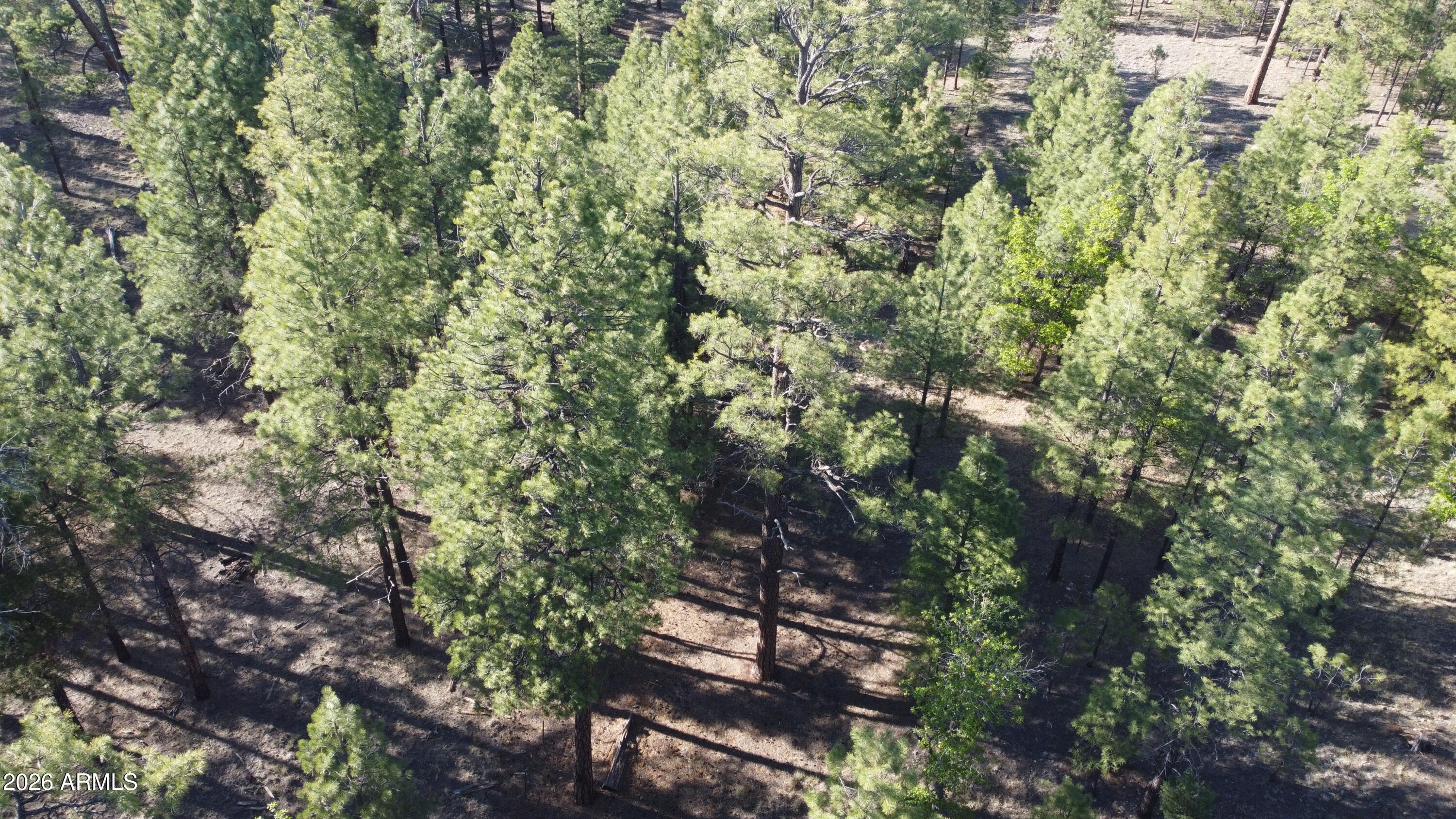 STARLIGHT PINES 4 PHASE 3 - Land