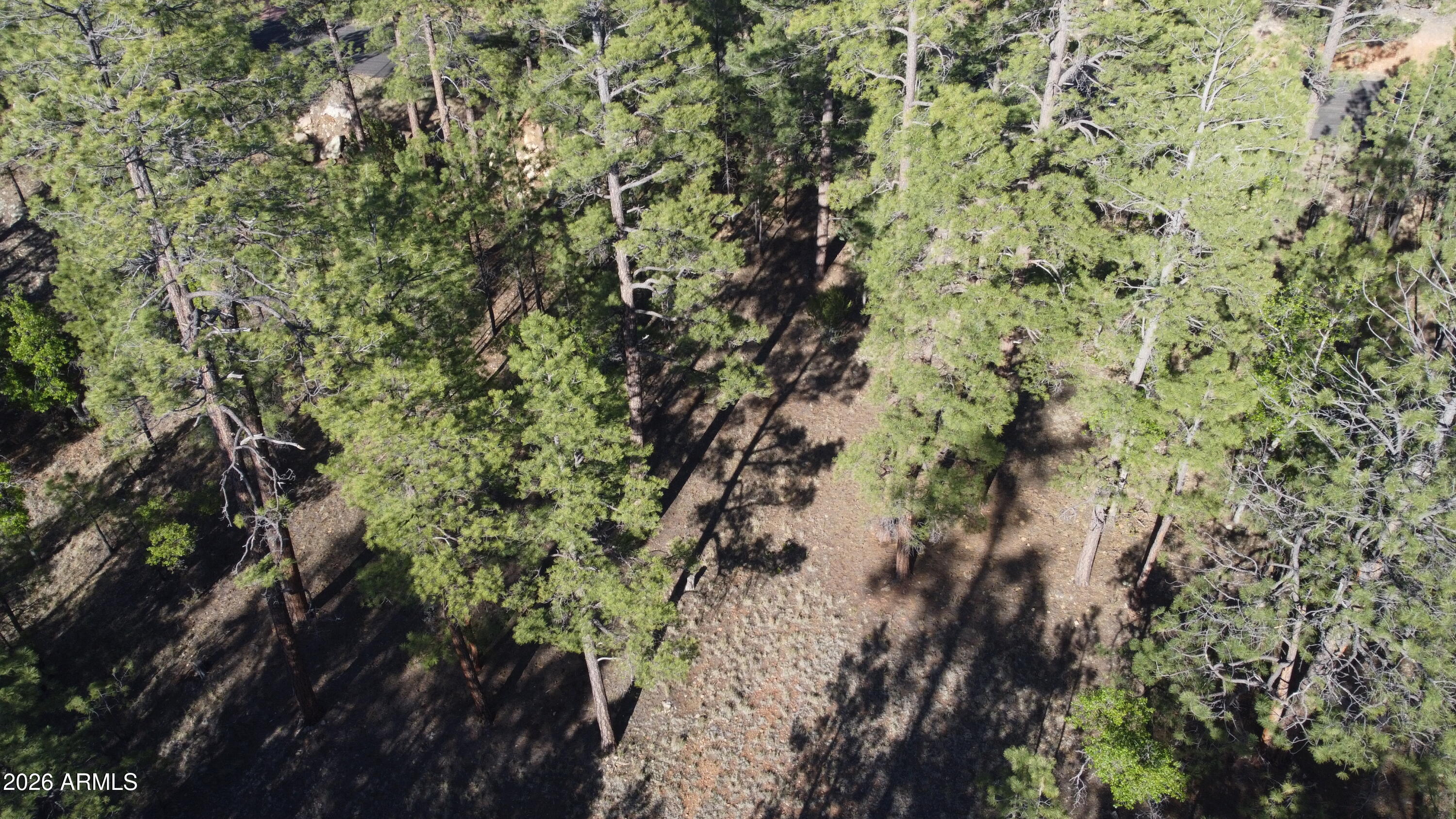 STARLIGHT PINES 4 PHASE 3 - Land