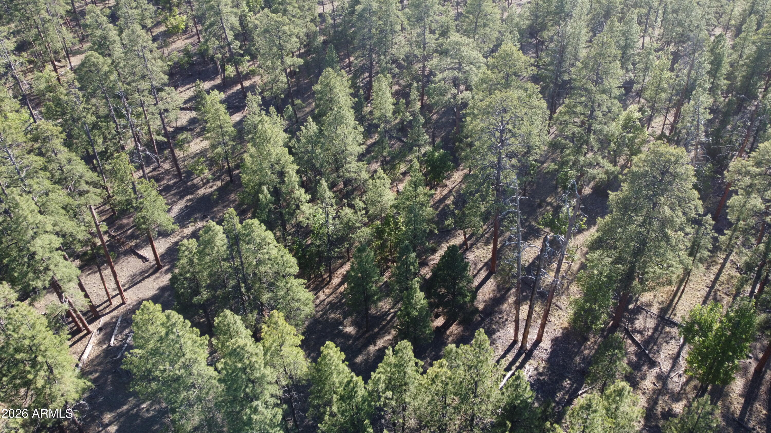 STARLIGHT PINES 4 PHASE 3 - Land