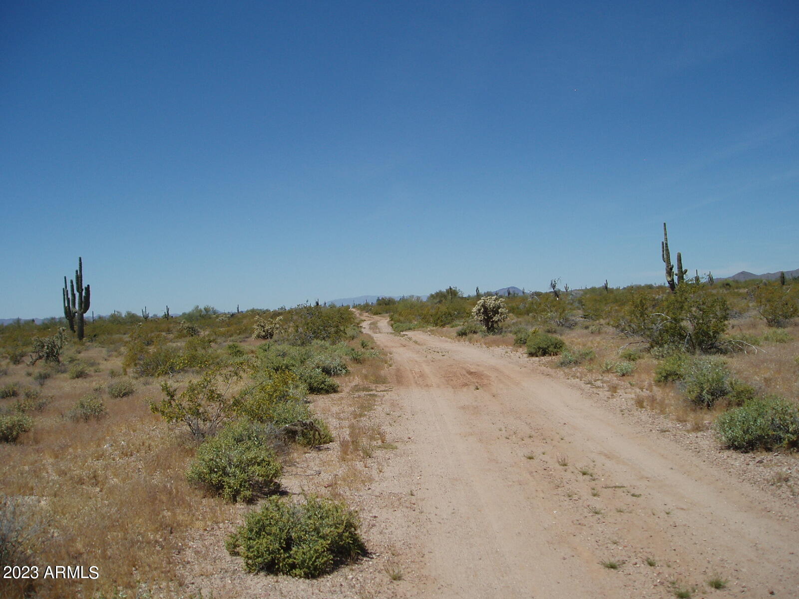 Photo 4 of 6 of 33098 W GALVIN Street 64 land