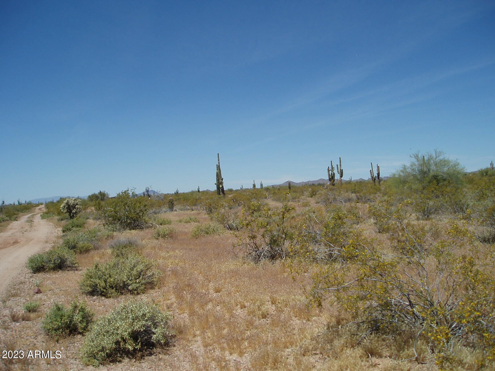 Photo 1 of 6 of 33098 W GALVIN Street 64 land