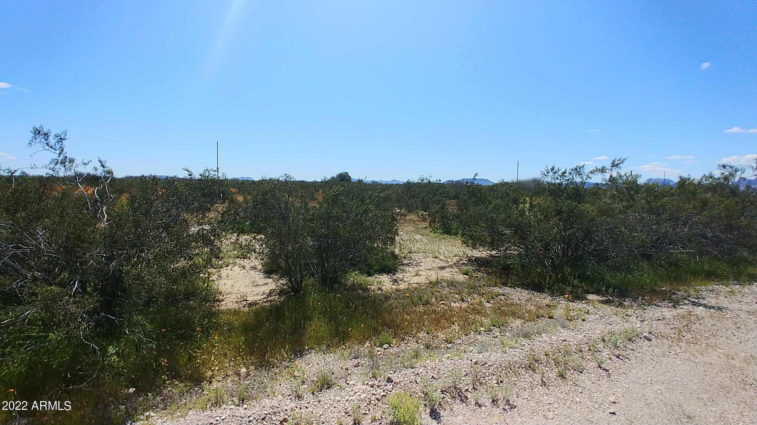 BIG HORN FARMS - Land