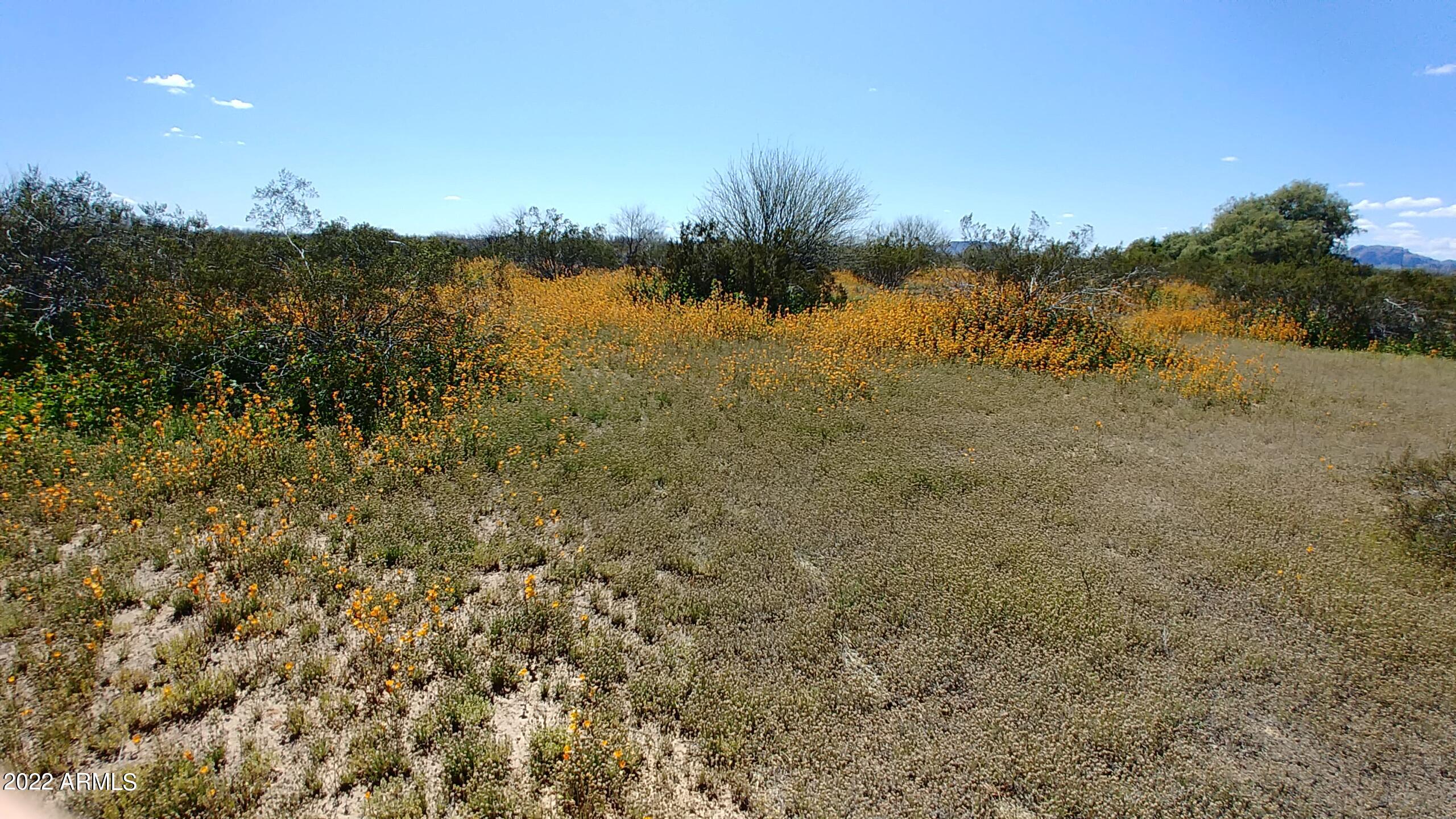 BIG HORN FARMS - Land