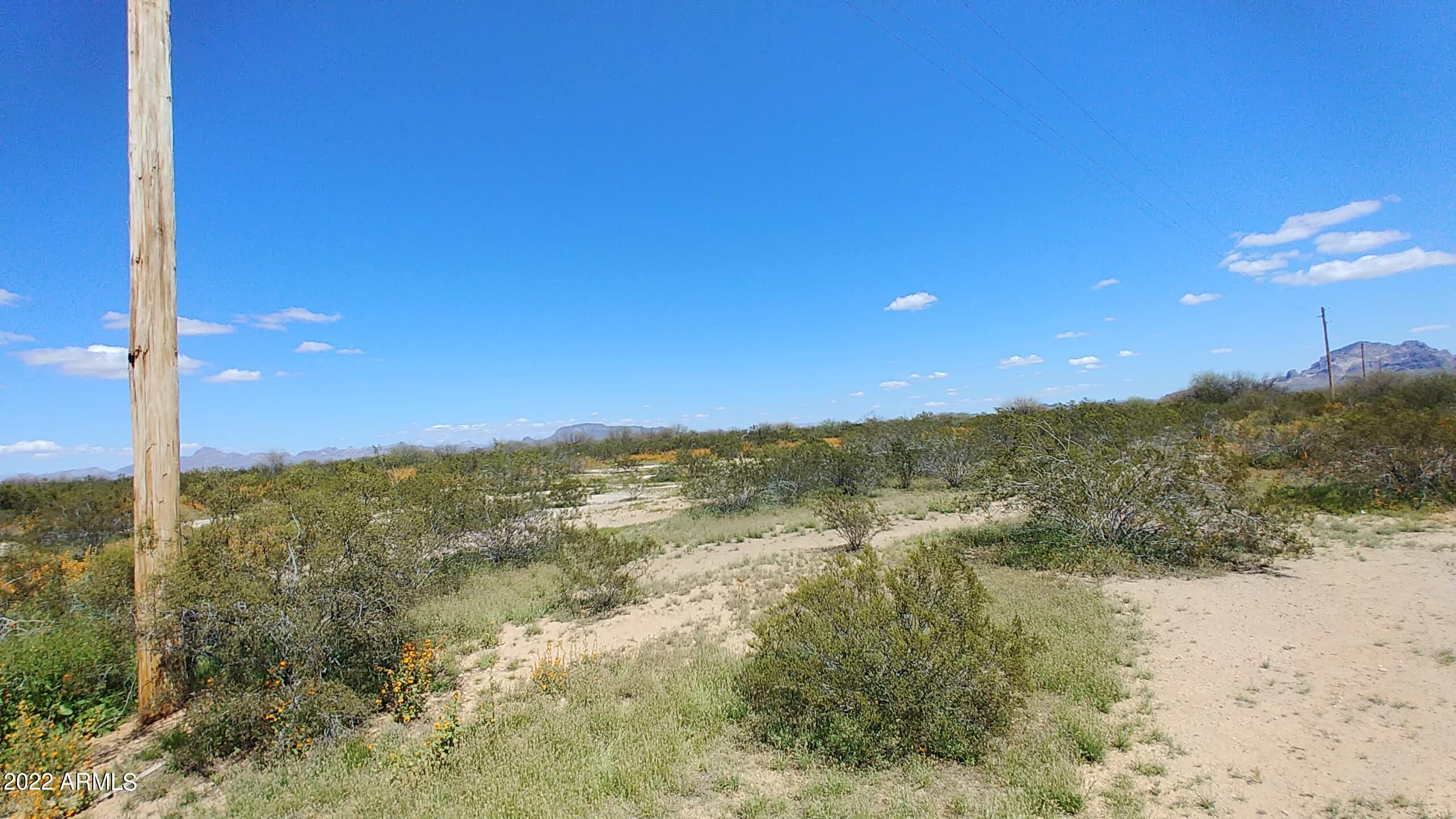 BIG HORN FARMS - Land