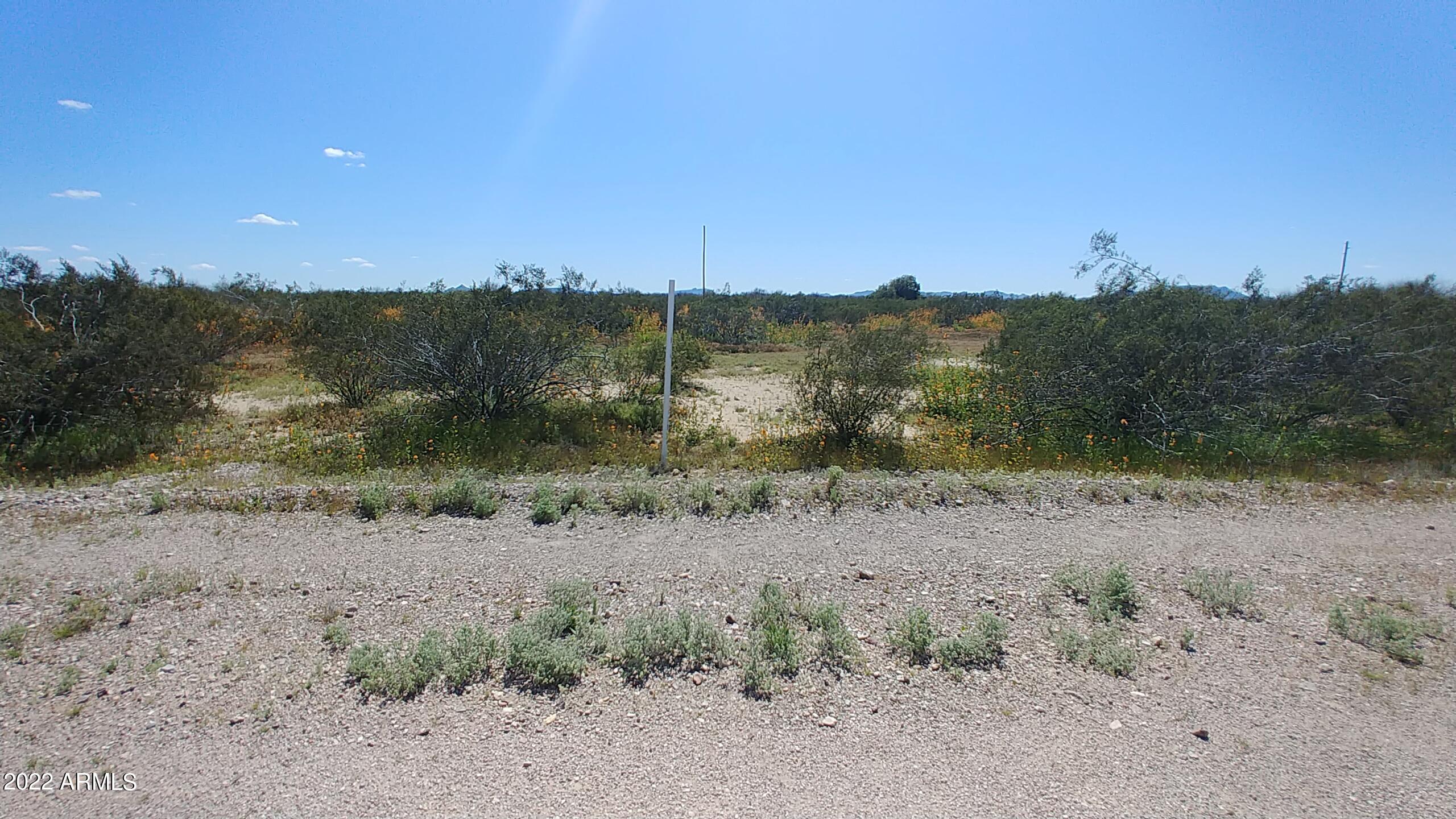 BIG HORN FARMS - Land