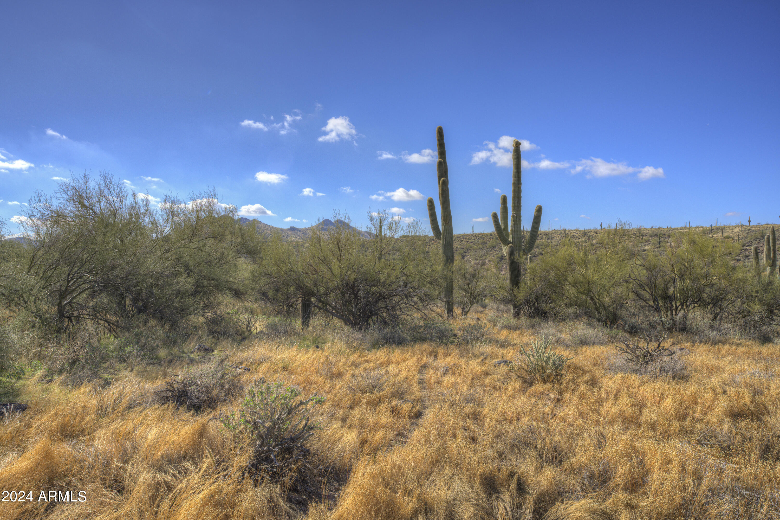 42XXX N Old Stage Road _