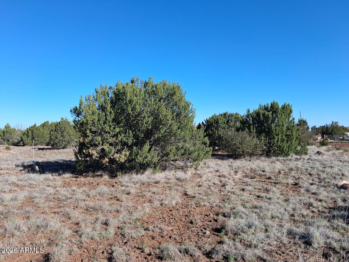 1298 GERONIMO Drive -