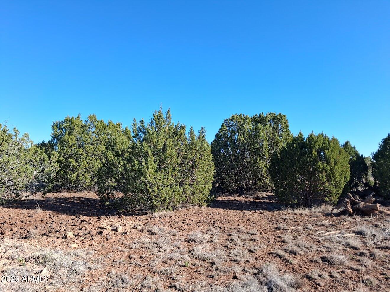 1298 GERONIMO Drive -