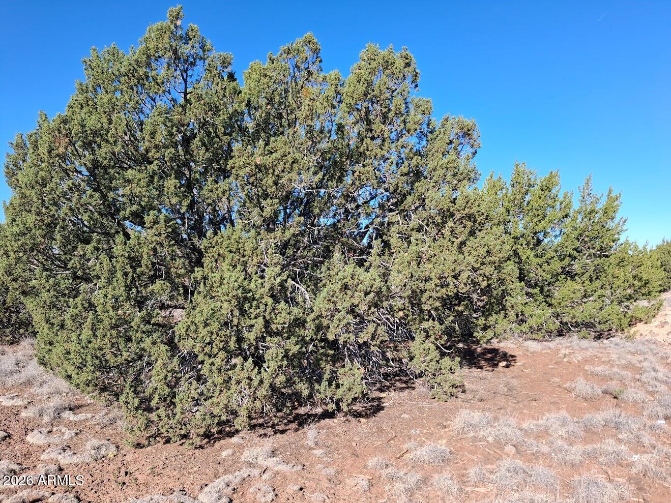 1298 GERONIMO Drive -