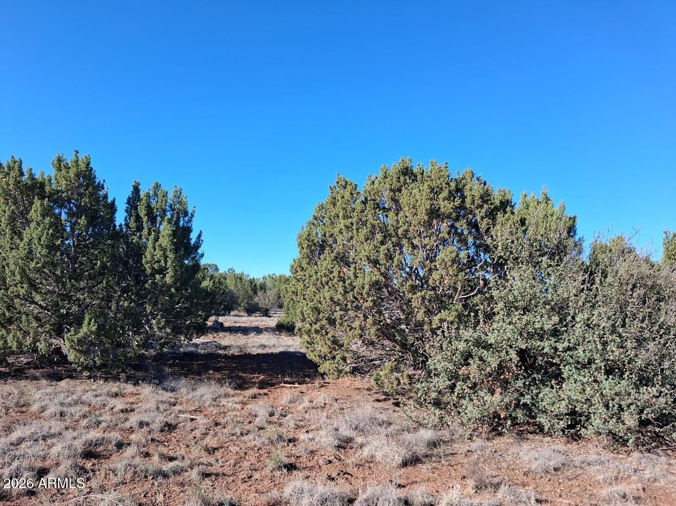 1298 GERONIMO Drive -