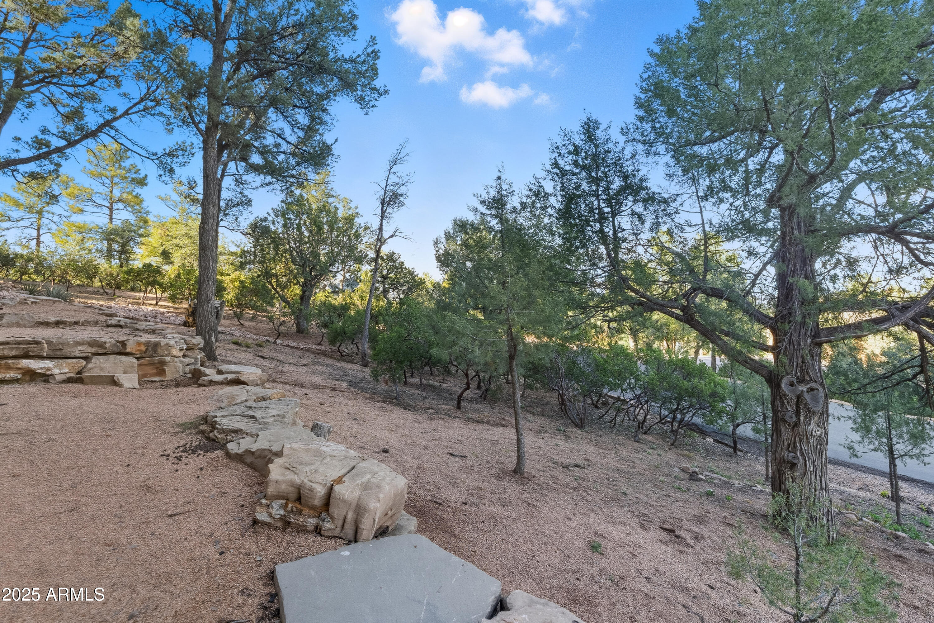 CHAPARRAL PINES PHASE 2 - Residential